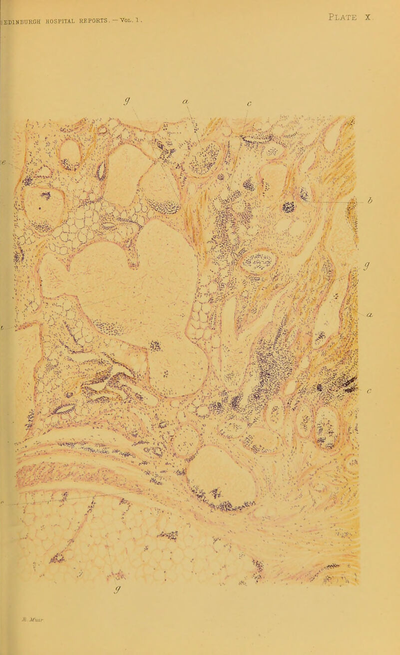 9 a ■ ■■'•AT;- 9 . .r . - v Jc Mux r