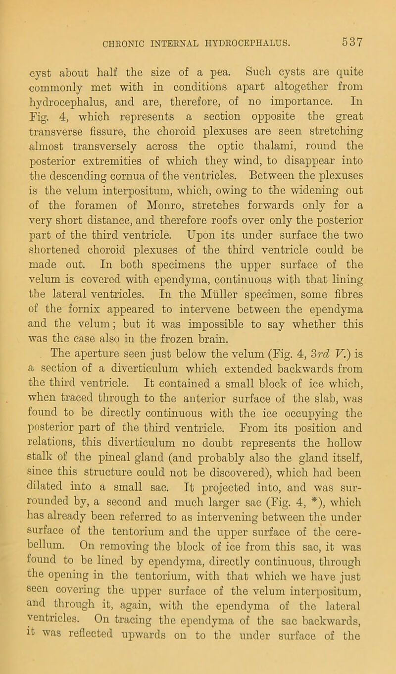 cyst about half the size of a pea. Such cysts are quite commonly met with in conditions apart altogether from hydrocephalus, and are, therefore, of no importance. In Fig. 4, which represents a section opposite the great transverse fissure, the choroid plexuses are seen stretching almost transversely across the optic thalami, round the posterior extremities of which they wind, to disappear into the descending cornua of the ventricles. Between the plexuses is the velum interpositum, which, owing to the widening out of the foramen of Monro, stretches forwards only for a very short distance, and therefore roofs over only the posterior part of the third ventricle. Upon its under surface the two shortened choroid plexuses of the third ventricle could be made out. In both specimens the upper surface of the velum is covered with ependyma, continuous with that lining the lateral ventricles. In the Muller specimen, some fibres of the fornix appeared to intervene between the ependyma and the velum; but it was impossible to say whether this was the case also in the frozen brain. The aperture seen just below the velum (Fig. 4, ?>rd V.) is a section of a diverticulum which extended backwards from the third ventricle. It contained a small block of ice which, when traced through to the anterior surface of the slab, was found to be directly continuous with the ice occupying the posterior part of the third ventricle. From its position and relations, this diverticulum no doubt represents the hollow stalk of the pineal gland (and probably also the gland itself, since this structure could not be discovered), which had been dilated into a small sac. It projected into, and was sur- rounded by, a second and much larger sac (Fig. 4, *), which has already been referred to as intervening between the under surface of the tentorium and the upper surface of the cere- bellum. On removing the block of ice from this sac, it was found to be lined by ependyma, directly continuous, through the opening in the tentorium, with that which we have just seen covering the upper surface of the velum interpositum, and through it, again, with the ependyma of tlie lateral ventricles. On tracing the ependyma of the sac backwards, it was reflected upwards on to the under surface of the