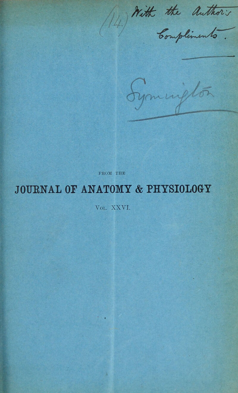 FROM THE JOTJENAL OF ANATOMY & PHYSIOLOGY Vol. XXVI.