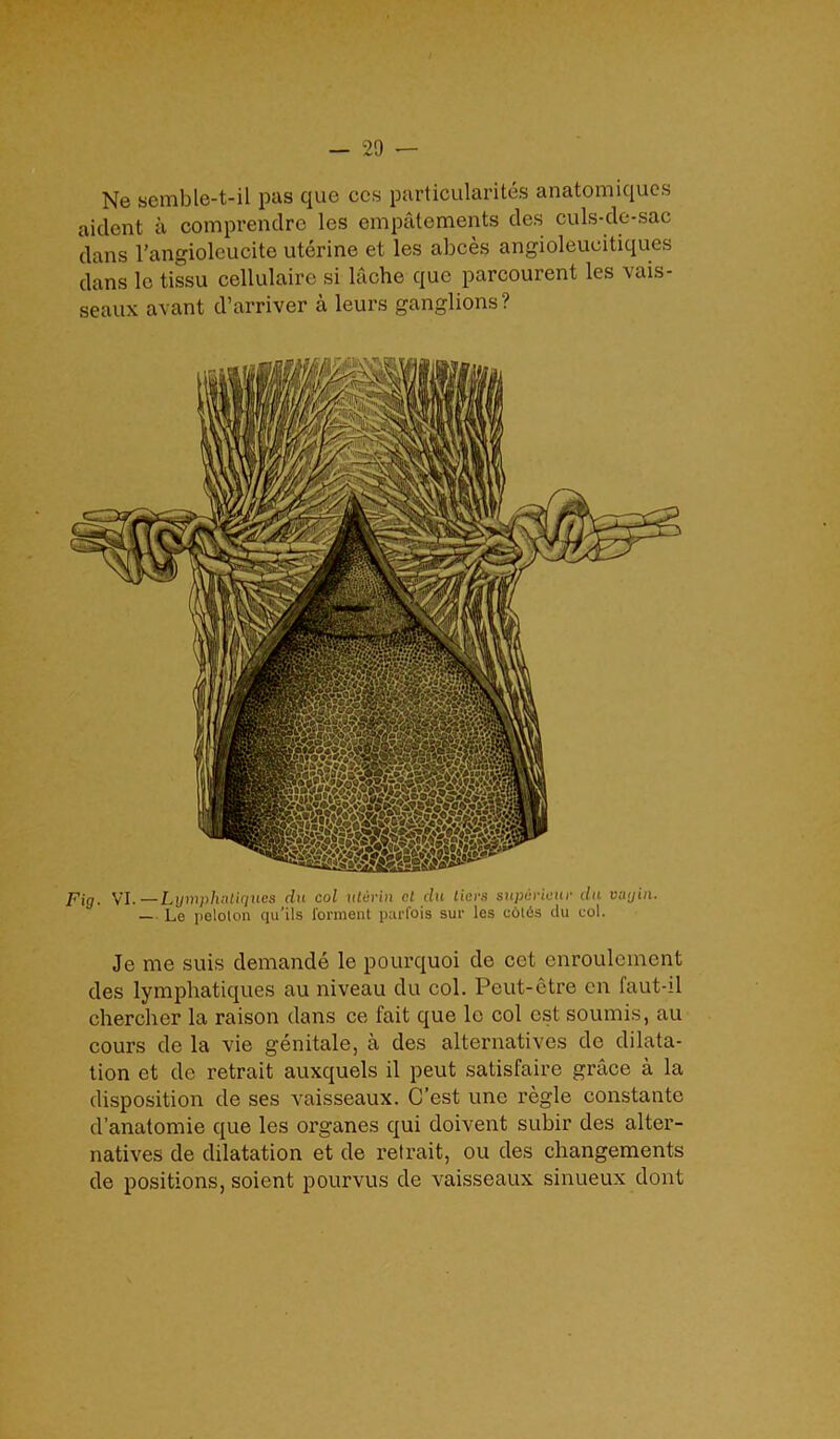 Ne semble-t-il pas que ccs particularity anatomiques aiclent a comprendre les empatements des culs-de-sac dans l'angioleucite uterine et les abces angioleucitiques dans le tissu cellulaire si lache que parcourent les vais- seaux avant d’arriver a leurs ganglions? Fig. \'I.—Lgmphaliques da col uterin cl du tiers super ieur du vagin. — Le pelolon qu'ils torment parfois sue les col6s du col. Je me suis demande le pourquoi de cct enroulement des lymphatiques au niveau du col. Pcut-ctre cn faut-il chercher la raison dans ce fait que lc col cst soumis, au cours de la vie genitale, a des alternatives de dilata- tion et de retrait auxquels il peut satisfaire grace a la disposition de ses vaisseaux. C’est une regie constante d’anatomie que les organes qui doivent subir des alter- natives de dilatation et de retrait, ou des changements de positions, soient pourvus de vaisseaux sinueux dont