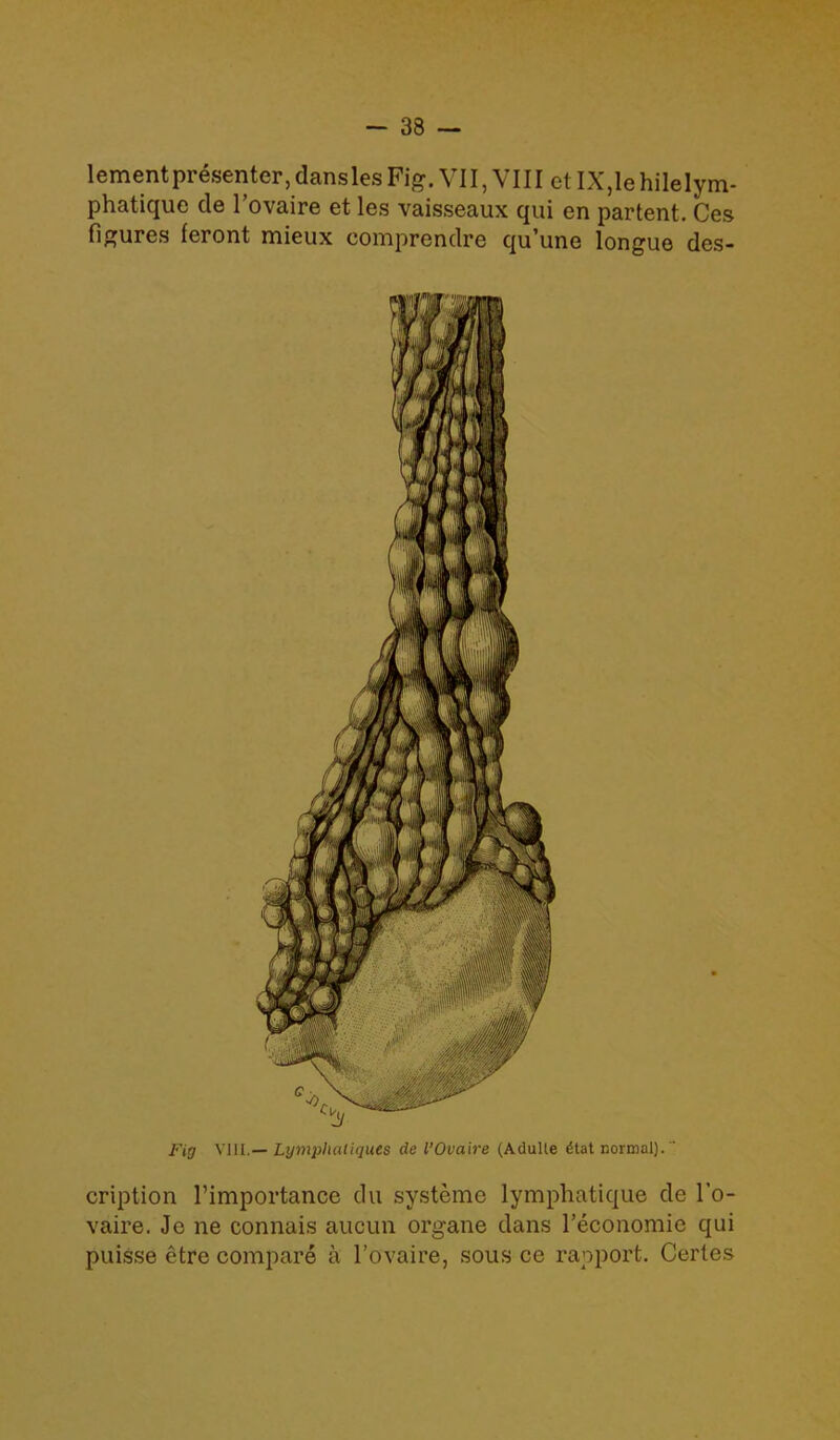 lementpresenter,danslesFig. VII, VIII etIX,lehilelym- phatique cle l’ovaire et les vaisseaux qui en partent. Ces figures feront mieux comprendre qu’une longue des- Fig VIII.— Lymphallques de i’Ova ire (Adulte 6tat normal).' cription l’importance du systeme lymphatique de l’o- vaire. Jo ne connais aucun organe dans 1’economie qui puisse etre compare a l’ovaire, sous ce rapport. Certes