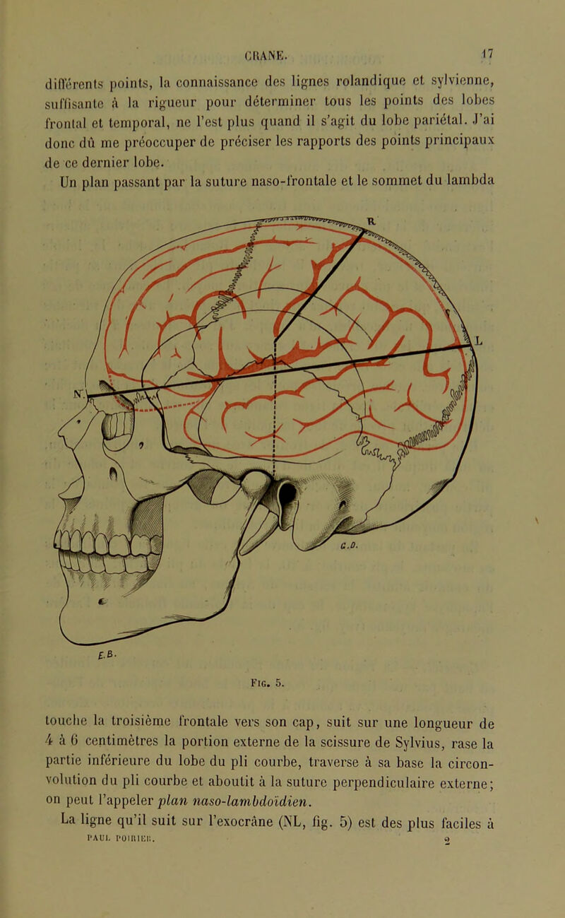 di lie rents points, la connaissance des ligncs rolandique et sylvicnne, suffisante a la rigueur pour determiner tons les points des lobes frontal et temporal, ne Test plus quand il s’agit du lobe parietal. J’ai done du me preoccuper de preciser les rapports des points principaux de ce dernier lobe. Un plan passant par la suture naso-l’rontale et le sommet du lambda \ £.B- Fig. 5. touche la troisieme frontale vers son cap, suit sur une longueur de 4 a 6 centimetres la portion externe de la scissure de Sylvius, rase la partie inferieure du lobe du pli courbe, traverse a sa base la circon- volution du pli courbe et aboutit a la suture perpendiculaire externe; on peut l’appeler p/aw naso-lambdoidien. La ligne qu’il suit sur l’exocrane (NL, fig. 5) est des plus faciles a paui. poiniiiii. 2