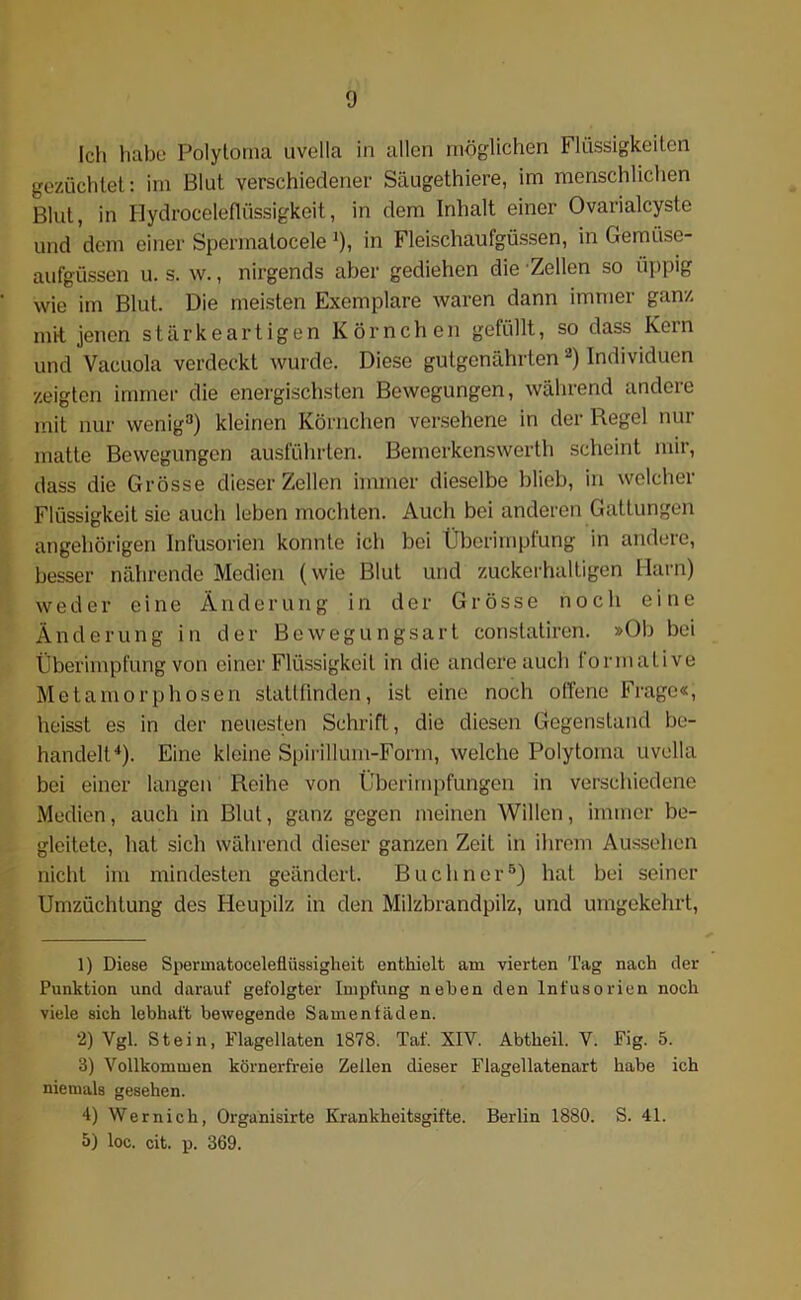 Ich habe Polytoma uvella in allen möglichen Flüssigkeiten gezüchtet: im Blut verschiedener Säugethiere, im menschlichen Blut, in Hydroceleflüssigkeit, in dem Inhalt einer Ovarialcyste und dem einer Spermatocele J), in Fleischaufgüssen, in Gemüse- aufgüssen u. s. w., nirgends aber gediehen die Zellen so üppig wie im Blut. Die meisten Exemplare waren dann immer ganz mit jenen stärkeartigen Körnchen gefüllt, so dass Kein und Vacuola verdeckt wurde. Diese gutgenährtena) Individuen zeigten immer die energischsten Bewegungen, während andeie mit nur wenig1 2 3) kleinen Körnchen versehene in der Regel nur matte Bewegungen ausführlen. Bemerkenswerth scheint mir, dass die Grösse dieser Zellen immer dieselbe blieb, in welcher Flüssigkeit sie auch leben mochten. Auch bei anderen Gattungen angehörigen Infusorien konnte ich bei Überimpfung in andere, besser nährende Medien (wie Blut und zuckerhaltigen Harn) weder eine Änderung in der Grösse noch eine Änderung in der Bewegungsart constatiren. »Ob bei Überimpfung von einer Flüssigkeit in die andere auch formalive Metamorphosen stattfinden, ist eine noch offene Frage«, heisst es in der neuesten Schrift, die diesen Gegenstand be- handelt4). Eine kleine Spirillum-Form, welche Polytoma uvella bei einer langen Reihe von Überimpfungen in verschiedene Medien, auch in Blut, ganz gegen meinen Willen, immer be- gleitete, hat sich während dieser ganzen Zeit in ihrem Aussehen nicht im mindesten geändert. Büchner5) hat bei seiner Umzüchlung des Heupilz in den Milzbrandpilz, und umgekehrt, 1) Diese Spermatocelefüissigheit enthielt am vierten Tag nach der Punktion und darauf gefolgter Impfung neben den Infusorien noch viele sich lebhaft bewegende Samenfäden. 2) Ygl. Stein, Flagellaten 1878. Taf. XIV. Abtheil. V. Fig. 5. 3) Vollkommen körnerfreie Zellen dieser Flagellatenart habe ich niemals gesehen. 4) Wern ich, Organisirte Krankheitsgifte. Berlin 1880. S. 41. 5) loc. cit. p. 369.