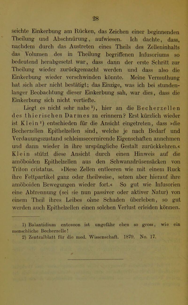 seichte Einkerbung am Rücken, das Zeichen einer beginnenden Theilung und Abschnürung, aufvviesen. Ich dachte, dass, nachdem durch das Austreten eines Theils des Zelleninhalts das Volumen des in Theilung begriffenen Infusoriums so bedeutend herabgesetzt war, dass dann der erste Schritt zur Theilung wieder zurückgemacht werden und dass also die Einkerbung wieder verschwinden könnte. Meine Vermuthung hat sich aber nicht bestätigt; das Einzige, was ich bei stunden- langer Beobachtung dieser Einkerbung sah, war dies, dass die Einkerbung sich nicht vertiefte. Liegt es nicht sehr nahe1 2), hier an die Becherzellen des thierischen Darmes zu erinnern? Erst kürzlich wieder ist Klein'1) entschieden für die Ansicht eingetreten, dass »die Becherzellen Epithelzellen sind, welche je nach Bedarf und Verdauungszustand schleimsecernirende Eigenschaften annehmen und dann wieder in ihre urspüngliche Gestalt zurückkehren.« Klein stützt diese Ansicht durch einen Hinweis auf die amöboiden Epithelzellen aus den Schwanzdrüsensäcken von Triton cristatus. »Diese Zellen entleeren wie mit einem Ruck ihre Fettpartikel ganz oder theilweise, setzen aber hierauf ihre amöboiden Bewegungen wieder fort.« So gut wie Infusorien eine Abtrennung (sei sie nun passiver oder aktiver Natur) von einem Theil ihres Leibes ohne Schaden überleben, so gut werden auch Epithelzellen einen solchen Verlust erleiden können. 1) Balantidium entozoon ist ungefähr eben so gross, wie ein menschliche Becherzelle! 2) Zentralblatt für die med. Wissenschaft. 1879. No. 17.