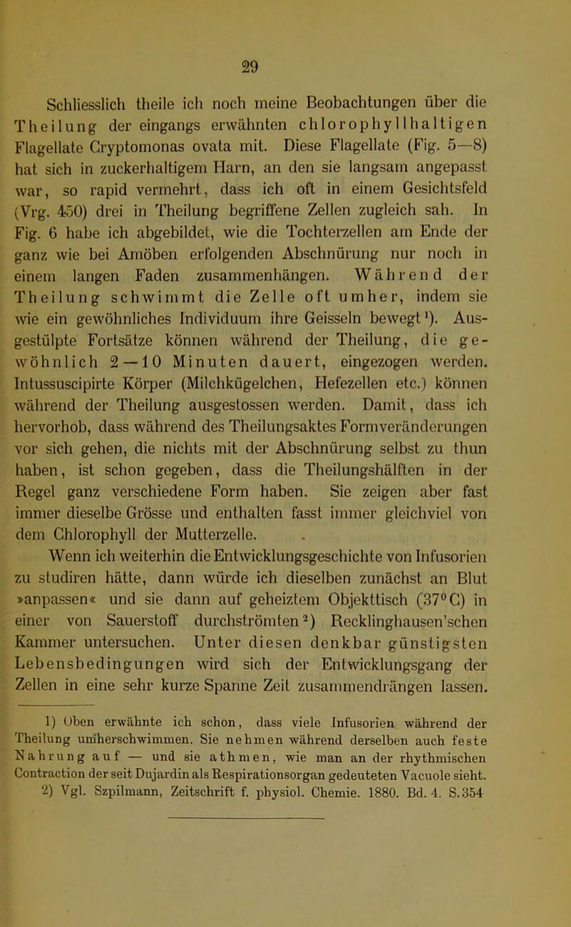 Schliesslich theile ich noch meine Beobachtungen über die T h e i 1 u n g der eingangs erwähnten Chlorophyll haltigen Flagellate Cryptomonas ovata mit. Diese Flagellate (Fig. 5—8) hat sich in zuckerhaltigem Harn, an den sie langsam angepasst war, so rapid vermehrt, dass ich oft in einem Gesichtsfeld (Vrg. 450) drei in Theilung begriffene Zellen zugleich sah. ln Fig. 6 habe ich abgebildet, wie die Tochterzellen am Ende der ganz wie bei Amöben erfolgenden Abschnürung nur noch in einem langen Faden Zusammenhängen. Während der Theilung schwimmt die Zelle oft umher, indem sie wie ein gewöhnliches Individuum ihre Geissein bewegt1). Aus- gestülpte Fortsätze können während der Theilung, die ge- wöhnlich 2 — 10 Minuten dauert, eingezogen werden. Intussuscipirte Körper (Milchkügelchen, Hefezellen etc.) können während der Theilung ausgestossen werden. Damit, dass ich hervorhob, dass während des Theilungsaktes Formveränderungen vor sich gehen, die nichts mit der Abschnürung selbst zu thun haben, ist schon gegeben, dass die Theilungshälften in der Regel ganz verschiedene Form haben. Sie zeigen aber fast immer dieselbe Grösse und enthalten fasst immer gleichviel von dem Chlorophyll der Mutierzelle. Wenn ich weiterhin die Entwicklungsgeschichte von Infusorien zu studiren hätte, dann würde ich dieselben zunächst an Blut »anpassen« und sie dann auf geheiztem Objekttisch (37°C) in einer von Sauerstoff durchströmten2) Recklinghausen’schcn Kammer untersuchen. Unter diesen denkbar günstigsten Lebensbedingungen wird sich der Entwicklungsgang der Zellen in eine sehr kurze Spanne Zeit zusammendrängen lassen. 1) Üben erwähnte ich schon, dass viele Infusorien während der Theilung umherschwimmen. Sie nehmen während derselben auch feste Nahrung auf — und sie athmen, wie man an der rhythmischen Contraction der seit Dujardin als Respirationsorgan gedeuteten Vacuole sieht. 2) Vgl. Szpilmann, Zeitschrift f. physiol. Chemie. 1880. Bd. 4. S.354