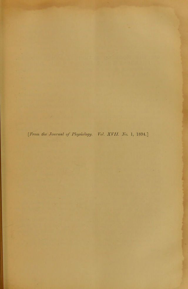 digitised image 3