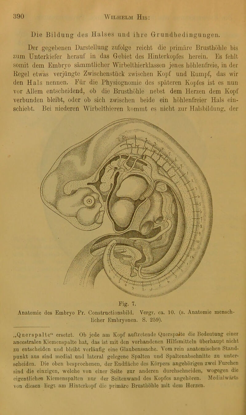 890 ^VlLlIELM His: Die Diklung des Halses und ihre Grundbedinguugen. Der gegebenen Darstellung zul'olge reicht die pi'inuire Brusthöhle bis zum Unterkiefer herauf in das Gebiet des Hiuterkopfes herein, l'is fehlt somit dem Embrjo sämmtlicher Wirbelthierklasseu jenes höhlenfreie, in der Kegel etwas verjüngte Zwischenstück zwischen Kopf und Kumpf, das wir den Hals nennen. Für die Physiognomie des späteren Kopfes ist es nun vor Allem entscheidend, ob die Brusthöhle nebst dem Herzen dem Kopf verbunden bleibt, oder ob sich zwischen beide ein höhlenfreier Hals eiii- schiebt. Bei niederen Wirbelthieren kommt es nicht zur Halsbildung, der Fig. 7. Anatomie des Embryo Pr. Constructionsbild. Vergr. ca. 10. (s. Anatomie mensch- licher Embryonen. S. 259). „Querspaltc“ ersetzt. Ob jede am Kopf auftretende QuerspaJte die Bedeutung einer ancestralen Kicmenspalte hat, das ist mit den vorhandenen Hilfsmitteln überhaupt nicht zu entscheiden und bleibt vorläufig eine Glaubenssache. Vom rein anatomischen Stand- punkt aus sind medial und lateral gelegene Spalten und Spaltcnabschnltte zu unter- scheiden. Die oben besproehenen, der Endfläche des Körpers angehörigen zwei Furchen sind die einzigen, welche von einer Seite zur anderen durchschneiden, wogegen die eigentlichen Kicmenspaltcn nur der Seitenwand des Kopfes angehören. Jlcdialwärts von diesen liegt am Hinterkopf die primäre Brusthöhle mit dem Herzen.