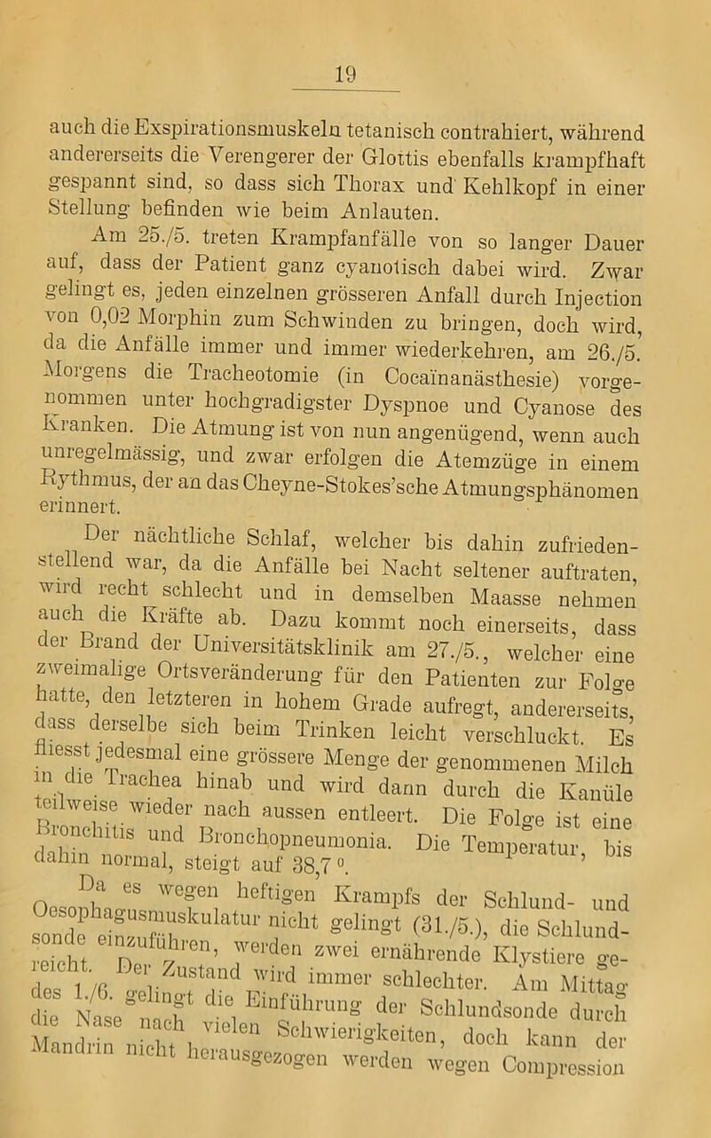 auch die Exspirationsmuskelü tetanisch contrahiert, während andererseits die Verengerer der Glottis ebenfalls ki'ampfhaft gespannt sind, so dass sich Thorax und Kehlkopf in einer Stellung befinden wie beim Anlauten. Am 25./ö. treten KramjDfanfälle von so langer Dauer auf, dass der Patient ganz cyauolisch dabei wird. Z\yar gelingt es, jeden einzelnen grösseren Anfall durch Injection von 0,02 Morphin zum Schwinden zu bringen, doch wird, da die Anfälle immer und immer wiederkehren, am 26./S. Moigens die Tracheotomie (in Cocainanästhesie) vorge- nommen unter hochgradigster Dyspnoe und Cyanose des Kianken. Die Atmung ist von nun angenügend, wenn auch unregelmässig, und zwar erfolgen die Atemzüge in einem Rythmus, der an das Cheyne-Stokes’sche Atmungsphänomen erinnert. Der nächtliche Schlaf, welcher bis dahin zufrieden- stellend war, da die Anfälle bei Nacht seltener auftraten wird recht schlecht und in demselben Maasse nehmen auch die Kräfte ab. Dazu kommt noch einerseits, dass der Brand der Universitätsklinik am 27./5., welcher eine zweimalige Ortsveränderung für den Patienten zur Fol-e latte den letzteren in hohem Grade aufregt, andererseirs, dass deijelbe sich beim Trinken leicht verschluckt. Es üiesst jedesmal eine grössere Menge der genommenen Milch in die rrachea hinab und wird dann durch die Kanüle eilweise wieder nach aussen entleert. Die Folge ist eine :>ionchitis und Bronchopneumonia. Die Temperatur bis dahin normal, steigt auf 38,7«. uipeiaiui, bis Da es wegen heftigen Krampfs der Schlund- und reicht 7 “■“'ifende Klystiere ge- rlos 1 /r r '“■'I immer schlechter. Am Mittao- die Nase^iacf Welen'“sc!”'’^’ f’ Mandrin nicht 1,7 &»l‘'m>-igkeiten, doch kann der « herausgezogen werden wegen Comijression