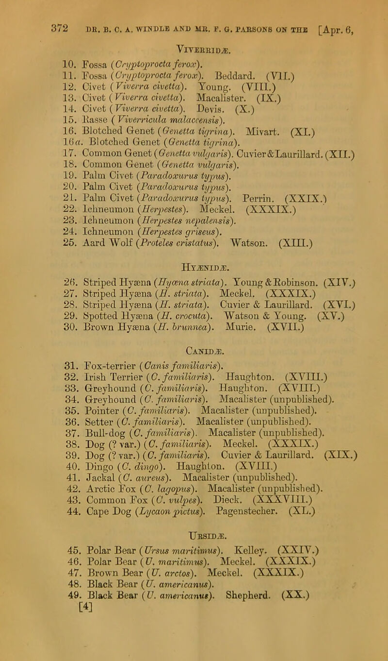 VlVEBElD^. 10. Fossa {Cryptoprocta ferox). 11. l^ossii lCYijptoprocta ferox). Beddard. (VII.) 12. Civet {Viverra civetta). Young. (VIll.) Vd. Civet {Viverra civeita). Macalister. (IX.) 14. Civet (Viverra civetta). Devis. (X.) 15. Basse ( Viverricula malaccensis). 16. Blotched Genet (Genetta tiyrina). Mivart. (XI.) lOrt. Blotched Genet {Qenctta tigrina). 17. Common Genet {Oenetta vulgaris). Cuvier&Laurillard. (XII.) 18. Common Genet {Genetta vulgaris). 19. Palm Civet (Paradoxurus typus). 20. Palm Civet {Paradoxurus tyjgus). 21. Palm Civet {Paradoxurus typus). Perrin. (XXIX.) 22. Ichneumon {Herpestes). Meckel. (XXXIX.) 23. Ichneumon {HerpesUs nepalensis). 24. Ichneumon {HerpesUs griseus). 25. AaxH oil {Proteles cristatus). Watson. (XIII.) Hv^NIDiE. 26. Striped Hyaena (.7T?/ceaas<w<<a). Young&Eobinson. (XIV.) 27. Striped Plyaena {H. striata). Meckel. (XXXIX.) 28. Striped Hyaena {H. striata). Cuvier & Laurillard. (XVI.) 29. Spotted Hyaena {H. crocuta). Watson & Young. (XV.) 30. Brown Hyaena {H. brunnea). Murie. (XVII.) Canid jE. 31. Fox-terrier {Canis familians). 32. Ii’ish Terrier (C./amiZifo-is). Haugliton. (XVIII.) 33. Greyhound (C./amiZiaWs). Haughton. (XVIII.) 34. Greyhound ((7./awiZifms). Macahster (unpublished). 35. Pointer {0. familums). Macalister (unpublished). 36. Setter (C./am?Ziam). Macalister (rmpublished). 37. Bull-dog (O'./aww'ZiaWs). Macahster (unpublished). 38. Dog (? var.) (C./amiZian's). Meckel. (XXXIX.) 39. Dog (? var.) (C./amiZZam). CuHer & Laurillard. (XIX.) 40. Dingo {C. dingo). Haughton. (XVIII.) 41. Jackal {€. aureus). Macalister (unpublished). 42. Arctic Fox {C. lagopus). Macalister (unpublished). 43. Common Fox {0. vulpes). Dieck. (XXXVIll.) 44. Cape Dog {Lycaon pictus). Pagenstecher. (XL.) UESID.E. 45. Polar Bear ( Ursus maritimus). Kelley. (XXIV.) 46. Polar Bear (U. maritimus). Meckel. (XXXIX.) 47. Brown Bear (17. arcZos). Meckel. (XXXIX.) 48. Black Bear {U. americanus). 49. Black Bear {U. americanus). Shepherd. (XX.) [4]