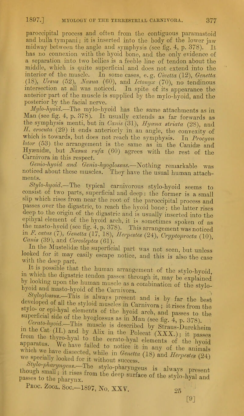 paroccipitiil process aiad often from the contiguous paramastoid and bulla tympani; it is inserted into the body of the lower jaw midway between the angle and symphysis (see fig. 4, p. 378). It has no connexion with the hyoid bone, and the only evidence of a separation into two bellies is a feeble line of tendon about the middle, which is quite superficial and does not extend into the interior of the muscle. In some cases, e. g. Civetta (12), Qenetta (18), Ursus (52), Nasua (60), and Ictonyx (70), no tendinous intersection ac all was noticed. In spite of its appearance the anterior part of the muscle is supplied by the mylo-hyoid, and the posterior by the facial nerve. Mylo-lujoid.—The mylo-hyoid has the same attachments as in Man (see fig. 4, p. 378). It usually extends as far forwards as the symphysis menti, but in Canis (31), Hycena striata (28), and H. crocuta (29) it ends anteriorly in an angle, the convexity of which is towards, but does not reach the symphysis. In Procyon loior (53) the arrangement is the same as in the Canida? and Hysenidae, but iVasMrt rufa (60) agrees with the rest of the Carnivora in this respect. Genio-hyoid and Genio-hyoglossns.—Nothing remarkable AA'as noticed about these muscles. They have the usual human attach- ments. Stylo-hyoid.—The typical carnivorous stylo-hyoid seems to consist of two parts, superficial and deep ; tlie former is a small slip which rises from near the root of the paroccipital process and passes over the digastric, to reach the hyoid bone; the latter rises deep to the origin of the digastric and is usually inserted into the epihyal element of the hyoid arch, it is sometimes spoken of as the masto-hyoid (see fig. 4, p. 378). This arrangement was noticed m F. catus {/) Genetta (17, 18), Herpcstes (24), Cryptoprocta (10), Cams (39), and Cercoleptes (61). ^ ^ 1 Mustelidm the superficial part was not seen, but unless looked tor It may easily escape notice, and this is also the case with the deep part. _ It IS possible that the human arrangement of the stylo-hyoid hvlnlt be explained by looking upon the human muscle as a combination of the stylo- hyoKl and masto-hyoid of the Carnivora. ^ , Styloylossus.--Tlh\s is always present and is by far the best developed of all the styloid muscles in Carnivora ; it rises from the upeihcia side of the byoglossus as in Man (see fig. 4, p. 378) Sf?a„a’-Du?^kheiu. thehat-^II.) and by Ahx in the Polecat (XXX)- it msseo is always present Pnoc. ZooL. Soo.—1897, No. XXV. OK [9]