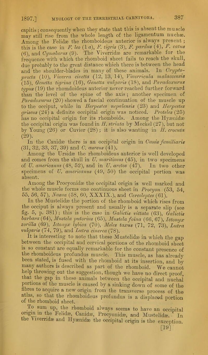 capitis; consequently wlien they state that this is absent the mu sole may still rise from the whole length of the ligamentum nuchse. Aniono- the Feliclaj the rhorahoicleus anterior is always present; this is'the case in F. leo (1 a), F. tic/ris (3), pardus (4), F. catus (0), and Cijnailarus (9). The Viverridas are remarkable for the frequence with w hich the rhomboid sheet fails to I’each the skull, due probably to the great distance which there is between the head and the shoulder-blades in many of these animals. In Crypto- procta (10), Viverra civetia (12, 13, 14), Viverricula malaccensis (15), Oenetta tigrina (16), Oenetta vulgaris (18), and Paradoxurus tgpus{l^) the rhomdoideus anterior never reached further forward than the level of the spine of the axis; another specimen of Paradoxurus (20) showed a fascial continuation of the muscle up to the occiput, while in Herpestes nepalensis (23) and Uerpestes griseus (24) a definite occipital origin was noticed. Proteles (25) has no occipital origin for its rhomboids. Among the Hysenidae the occipital origin was found in II. striata by Meckel (27), but not by Young (26) or Cuvier (28); it is also w'anting in II. crocuta (29). In the Canidse there is an occipital origin in Canis familiaris (31, 32, 33, 37, 39) and 0. aureus (41). Among the Ursidse the rhomboideus anterior is well developed and comes from the skull in U. maritimus (45), in two specimens of U. americanus (48, 52), and in U. arctos (47). In two other specimens of U. americanus (49, 50) the occipital portion was absent. Among the Procyonidse the occipital origin is well marked and the whole muscle forms one continuous sheet in Procyon (53, 54, 55, 56, 57), Fasua (58, 60, XXXIX.), and Oercoleptes (61). In the Mustelidae the portion of the rhomboid which rises from the occiput is always present and usually is a separate slip (see fig. 5, p. 381) ; this is the case in Galictis vittata (63), Oalictis barbara (64), Mustela putorius (65), Mustela foina (66, 67), Ictonyx zorilla {QQ), Ictonyx lybica (70), Meles taxus (71, 72, 73), Lutra vulgaris (74, 79), and Lutra cinerea (78). It is interesting to note that these Mustelidje in which the gap laetween the occipital aud cervical portions of the rhomboid sheet is so constant are equally remarkable for the constant presence of the rhomboideus profundus muscle. This muscle, as has already been stated, is fused with the rhomboid at its insertion, and by many authors is described as part of the rhomboid. We cannot help throwing out the suggestion, though we have no direct proof, that the gap in these animals between the occipital and nuchal portions of the muscle is caused by a sinking down of some of the fibres to acquire a new origin from the transverse process of the atlas, so that the rhomboideus profundus is a displaced portion 01 the rhomboid sheet. To sum up, the rhomboid always seems to have an occipital origin m the Felidae, Canidae, Procyonidm, and Mustelidm. In the Viverridae and Ilyamidai the occipital origin is the exception. [19J