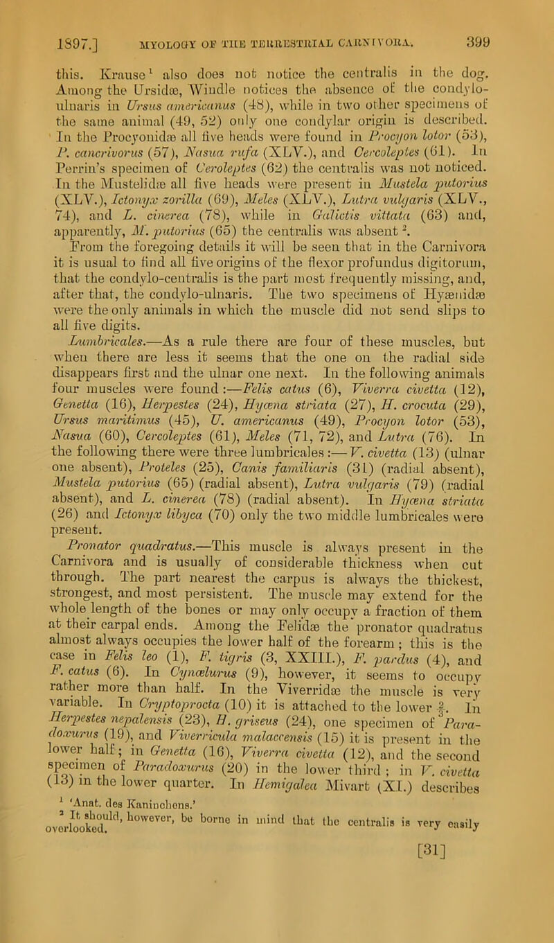 tliia. Krause^ also does not notice the centralis in the dog. Among the Ursidro, Wiudle notices the absence of tlie condylo- ulnaris in Ursus americunus (48), wldle in two other specimens of the same animal (49, 58) only one condylar origin is described. Ill the Procyonida) all live heads wei’e found in Procijon lotov (53), I\ cancrivorus {57), JS'dsua ru/a (XLV.), and Gercoleptes {(ii). In Perrin’s specimen of Ceroleptiis (62) the centralis was not noticed. In the Mustelidie all five heads were present in Mu-stela putorius (XLV.), Ictouyx zorilla (69), Meles (XLV.), Lutra vulgaris (XLV., 74), and L. chierea (78), while in GuUctis vittala (63) and, apparently, A7. putorius (65) the centralis was absent-. Prom the foregoing details it will be seen that in the Carnivora it is usual to find all five origins of the flexor profundus digitoruin, that the condylo-centralis is the part most frequently missing, and, after that, the coudylo-ulnar-is. The two specimens of Ilyaenidm were the only animals in which the muscle did not send slips to all five digits. Lumbricales.—As a rule there are four of these muscles, but when there are less it seems that the one on the radial side disappears first and the ulnar one next. In the following animals four muscles were found:—Fells ccitus (6), Viverra civeita (12), Genetta (16), Herpestes (24), Hycena striata (27), H. crocuta (29), Ursus maritimus (45), U. americanus (49), Frocyon lotor (53), Nasua (60), Cercoleptes (61), Meles (71, 72), and Lutra (76). In the following there were three lumbricales :—V. civetta (13) (ulnar one absent), Froteles (25), Canis familiar is (31) (radial absent), Mustela putorius (65) (radial absent), Lutra vulgaris (79) (radial absent), and L. cinerea (78) (radial absent). In Hycena striata (26) and Ictonyx lihyca (70) only the two middle lumbricales were preseut. Pronator quadratus.—This muscle is always present in the Carnivora and is usually of considerable thickness when cut through. The part nearest the carpus is always the thickest, strongest, and most persistent. The muscle may extend for the whole length of the bones or may only occupy a fraction of them at their carpal ends. Amoug the Felidae the pronator quadratus almost always occupies the lower half of the forearm ; this is the case in Felis ho (1), F. tigris (3, XXIII.), F. parclus (4), and F. catus (6). In Cyncelurus (9), however, it seems to occupy rather more than half. In the Viverridae the muscle is very ■rariable. In Cryptoprocta (10) it is attached to the lower |. In Herpestes nepalensis {2^)ML griseus (24), one specimen of Para- cloxurus (19), and Viverricida malaecensis (15) it is present in the lower half; in Genetta (16), Viverra civetta (12), and the second specunen of Paradoxurus (20) in the lower third ; in V. civetta (13) m the lower quarter. In Hemigalea Mivart (XI.) describes * ‘Anat. clea Kaniucliona.’ ovoVookod“^'^’ the centralis is very easily [31]