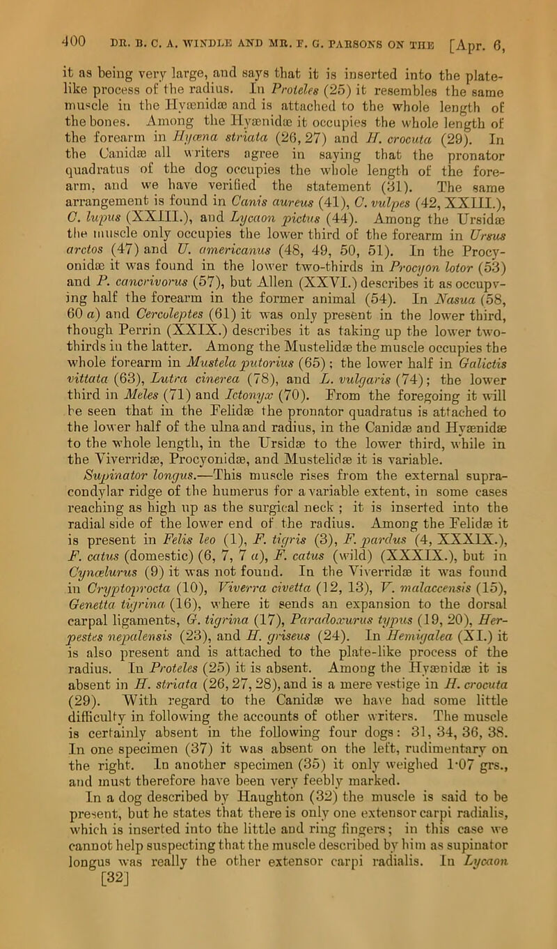 it as being very large, and says that it is inserted into the plate- like process of the radius. In Proieles (25) it resembles the same muscle in the Hymnidoc and is attached to the whole length of the bones. Among the Hyaenida) it occupies the whole length of the forearm in Hycp.na striata (2G, 27) and H. crocuta (29). In the CanidsB all writers agree in saying that the pronator quadratus of the dog occupies the whole length of the fore- arm, and we have verified the statement (31). The same arrangement is found in Canis aureus (41), C. vulpes (42, XXIII.), 0. lupus (XXIII.), and Lycaon pictus (44). Among the Ursidae the muscle only occupies the lower third of the forearm in Ursus arctos (47) and U. americanus (48, 49, 50, 51). In the Procy- onidse it was found in the lower two-thirds in Procyon lotor (53) and P. cancrivorus (57), but Allen (XXVI.) describes it as occupv- ing half the forearm in the former animal (54). In Nasua (58, 60 a) and Cerculeptes (61) it was only present in the lower third, though Perrin (XXIX.) describes it as taking up the lower two- thirds in the latter. Among the Mustelidae the muscle occupies the whole forearm in Mustela putorius (65); the lower half in Galictis vittata (63), Lutra cinerea (78), and L. vulyaris (74); the lower third in Meles (71) and Ictonyx (70). Prom the foregoing it will be seen that in the Fehdae the pronator quadratus is attached to the lower half of the ulna and radius, in the Canidae and Hyaenidse to the whole length, in the Ursidae to the lower third, while in the Viverridae, Procyonidae, and Mustelidae it is variable. Supinator longus.—This muscle rises from the external supra- condylar ridge of the humerus for a variable extent, in some cases reaching as high up as the surgical neck ; it is inserted into the radial side of the lower end of the radius. Among the Felidae it is present in Felis leo (1), F. tigris (3), F. pxirdus (4, XXXIX.), F. catus (domestic) (6, 7, 7 a), F. catus (wild) (XXXIX.), but in Cyncelurus (9) it was not found. In the Viverridae it was found in Cryptoprocta (10), Viverra civetta (12, 13), V. malaccensis (15), Genetta tigrina (16), where it sends an expansion to the dorsal carpal ligaments, G. tigrina (17), Paradoxurus typus (19, 20), Her- pestes nepalensis (23), and H. griseus (24). In Hemigalea (XI.) it is also present and is attached to the plate-like process of the radius. In Proteles (25) it is absent. Among the Hyaenidae it is absent in 77. striata (26,27,28), and is a mere vestige in 77. crocuta (29). With regard to the Canidae we have had some little difficulty in following the accounts of other writers. The muscle is certainly absent in the following four dogs: 31,34,36,38. In one specimen (37) it was absent on the left, rudimentary on the right. In another specimen (35) it only weighed 1-07 grs., and must therefore have been very feebly marked. In a dog described by Haughton (32) the muscle is said to be present, but he states that there is only one extensor carpi radialis, which is inserted into the little and ring fingers; in this case we cannot help suspecting that the muscle described by him as supinator longus was really the other extensor carpi radialis. lu Lifcaon