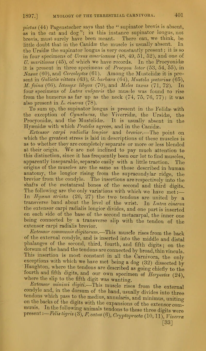 ■pictas (44) Pagenstecher says that the “ supinator brevis is absent, as in the cat and dog in this instance supinator lougus, not brevis, must surely have been meant. There can, we think, be little doubt that in the Canidse the muscle is usually absent. In the Ursidae the supinator longus is very constantly present; it is so in four specimens of Ursus americanus (48, 49, 51, 52), and one of U. maritimus (45), of which we have records. In the Procyonidm it is present in three specimens of Procyon lotor (53, 54, 55), in Nasiia (60), and Cercoleptes (61). Among the Mustelidae it is pre- sent in Galictis vittata (63), G. barhara (64), Mustela putorms (65), M. foina (66). Ictonyx libyca (70), and Meles taxiis (71, 72). In four specimens of Lutra vulyaris the muscle was found to rise from the humerus as far up as the neck (74, 75, 76, 77): it was also present in L. cinerea (78). To sum up, the supinator longus is present in the PelidsB with the exception of Cyncelwus, the Viverridse, the Ursidse, the Procyonidae, and the Mustelidae. It is usually absent in the Hyaenidae with which Proteles agrees, and in the Canidae. Extensor carpi radialis lonyinr and brevior.—The point on which the greatest stress is laid in descriptions of these muscles is as to whether tliey are completely separate or more or less blended at their origin. We are not inclined to pay much attention to this distinction, since it has frequently been our lot to find muscles, apparently inseparable, separate easily with a little traction. The origins of the muscles are the same as those described in human anatomy, the longior rising from the supracondylar ridge, the brevior from the condyle. The insertions are respectively into the shafts of the metatarsal bones of the second and third digits. The followdtig are the only variations with which we have met: In Hycena striata (26, 27) the two tendons are united by a transverse band about the level of the wrist. In Lutra cinerea the extensor carpi radialis longior divides, and one part is inserted on each side of the base of the second metacarpal, the inner one being connected by a transverse slip with the tendon of the extensor carpi radialis brevior. Extensor communis digitorum.—This muscle rises from the back of the external cond}de, and is inserted into the middle and distal phalanges of the second, third, fourth, and fifth digits; on the dorsum of the hand the tendons are connected by broad, thin vincula. This insertion is most constant in all the Carnivora, the only ^ceptions with which we have met being a dog (32) dissected by Haughton, where the tendons are described as going chiefly to the fourth and fifth digits, and our own specimen of Herpesies (24) where the slip to the fifth digit was wanting. '' Extensor minimi digiti.~Th\s muscle rises from the external condyle and, m the dorsum of the hand, usually divides into three tendons which pass to the medius, annularis, and minimus, uniting on the backs of the digits with the expansions of the extensor com- munis In the following animals tendons to these three digits were present -.-Felu Ugms (3), F. caius (6), Cryptoprocta (10,11), Viverra [33]