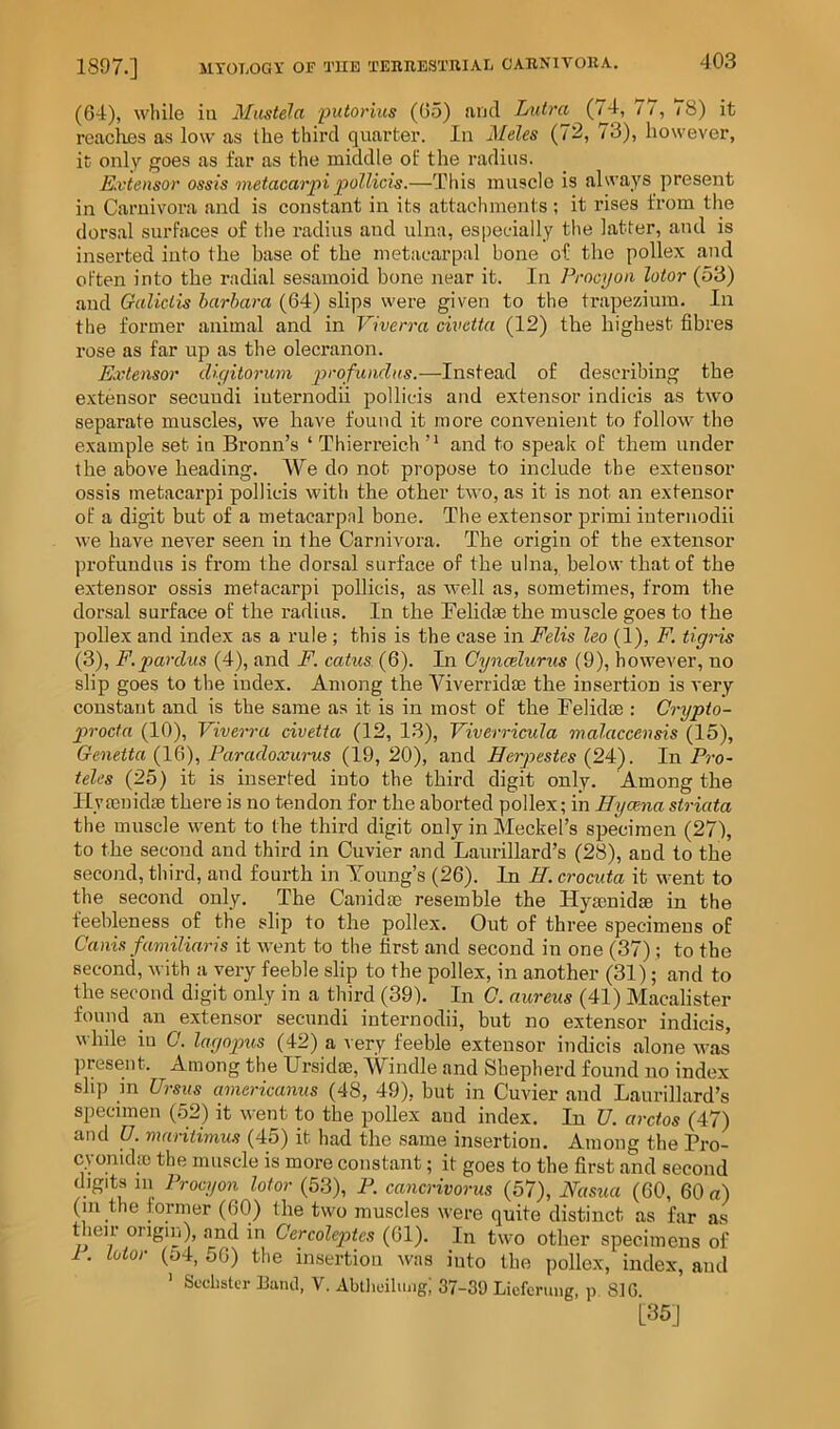 (64), while iu Mustela putorius (65) and Lidra (74, 77, 78) it reaches as low as the third quarter. In Meles {72, 73), however, it only goes as far as the middle of the radius. Extensor ossis metacarpipollicis.—This inusclo is always present in Carnivora and is constant in its attachments ; it rises from the dorsal surfaces of the radius and ulna, especially tlie latter, and is inserted into the base of the metacarpal bone of the pollex and often into the radial sesamoid bone near it. In Procyon lotor (53) and Gulictis barbara (64) slips were given to the trapezium. In the former animal and in Viverra civetta (12) the highest fibres rose as far up as the olecranon. Extensor cUgitorum profundns.—Instead of describing the extensor secuudi iuternodii pollicis and extensor indicis as two separate muscles, we have found it more convenient to follow the example set in Bronn’s ‘ Thierreich and to speak of them under the above heading. We do not propose to include the extensor ossis metacarpi pollicis with the other two, as it is not an extensor of a digit but of a metacarpnl bone. The extensor primi iuternodii we have never seen in the Carnivora. The origin of the extensor ])rofundus is from the dorsal surface of the ulna, below that of the extensor ossis metacarpi pollicis, as well as, sometimes, from the dorsal surface of the radius. In the Felidae the muscle goes to the pollex and index as a rule; this is the case in Felis leo (1), F. tigris (3), F.giardus (4), and F. catus (6). In Gyncehmis (9), however, no slip goes to the iudex. Among the Viverridae the insertion is very constant and is the same as it is in most of the Felidae : Crypto- procta (10), Viverra civetta (12, 13), Viverricula malaccensis (15), Genetta (16), Paradoxurus (19, 20), and Herpestes (24). In Pro- teles (25) it is inserted into the third digit only. Among the Hyajnidae there is no tendon for the aborted pollex; in Hyama striata the muscle went to the third digit only in Meckel’s specimen (27), to the second and third in Cuvier and Laurillard’s (28), and to the second, third, and fourth in Young’s (26). In H. crocuta it went to the second only. The Canidae resemble the Hyaenidae in the feebleness of the slip to the pollex. Out of three specimens of Cams familiaris it went to the first and second in one (37); to the second, with a very feeble slip to the pollex, in another (31); and to the second digit only in a third (39). In Q. aureus (41) Macalister found an extensor secundi internodii, but no extensor indicis, while iu G. lagopxis (42) a very feeble extensor indicis alone was present. Among the Ursidoe, Windle and Shepherd found no index sh]) in Ursus americanvs (48, 49), but in Cuvier and Laurillard’s specimen (.52) it went to the pollex aud index. In U. arctos (47) and U. mariiimus (45) it had the same insertion. Among the Pro- cyonidio the muscle is more constant; it goes to the first and second digits in Procyon lotor (53), P. cancrivorus (57), Fasua (60, 60 a) (in the former (60) the two muscles were quite distinct as far as t leii origin), and in Gercolejotes (61). In two other specimens of 1. Lotor (o4, 56) the insertion was into the pollex, index, and ' Sechbter Eaml, V. Abthoilung; 37-39 Licfcrung, p. 8JG.