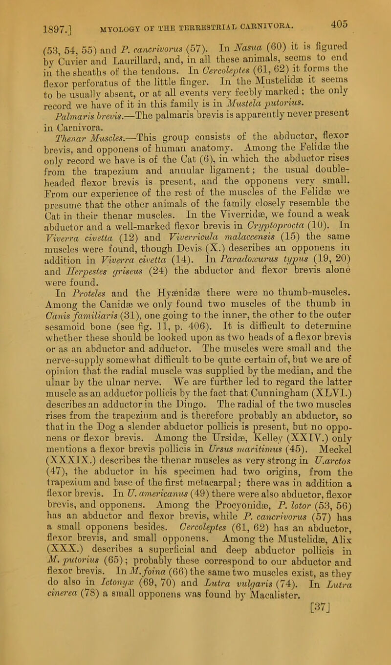 1897.J MTOIiOGY OF THE TERBESTIIIAL CAIINIVORA. 4UO (53, 54, 55) and P. cancrivoi'us (57). In Na^ua (60) it is figured by Cuvier and Laurillard, and, in all these animals, seems to end in the sheaths of the tendons. In Oercolepies (61, 62) it forms the flexor perforatus of the little finger. In the Mustelidm it seems to be usually absent, or at all events very feebly marked; the only record we have of it in this family is in Mustela jmtonus. Palmaris brevis.—The palmaris brevis is apparently never present in Carnivora. Thenar Muscles.—This group consists of the abductor, flexor brevis, and opponens of human anatomy. Among the Telidae the only record we have is of the Cat (6), in which the abductor rises from the trapezium and annular ligament; the usual double- headed flexor brevis is present, and the opponens very_ small. From our experience of the rest of the muscles of the Felidae we presume that the other animals of the family closely resemble the Cat in their thenar muscles. In the Viverridae, we found a weak abductor and a well-marked flexor brevis in Cryptoprocta (10). In Viverra civetta (12) and Viverricula malaccensis (15) the same muscles were found, though Devis (X.) describes an opponens in addition in Viverra civetta (14). In Parado.vurus typus (19, 20) and Herpestes yriseus (24) the abductor and flexor bre\ds alone were found. In Proteles and the Hyaenidae there were no thumb-muscles. Among the Canidse we only found two muscles of the thumb in Canis familiaris (31), one going to the inner, the other to the outer sesamoid bone (see fig. 11, p. 406). It is difficult to determine whether these should be looked upon as two heads of a flexor brevis or as an abductor and adductor. The muscles were small and the nerve-supply somewhat difficult to be quite certain of, but we are of opinion that the radial muscle was supplied by the median, and the ulnar by the ulnar nerve. We are further led to regard the latter muscle as an adductor pollicis by the fact that Cunningham (XLVI.) describes an adductor in the Dingo. The radial of the two muscles rises from the trapezium and is therefore probably an abductor, so that in the Dog a slender abductor pollicis is present, but no oppo- nens or flexor brevis. Among the Ursidse, Kelley (XXIV.) only mentions a flexor brevis pollicis in Ursus rnaritimus (45). Meckel (XXXIX.) describes the thenar muscles as very strong in U.arctos (47), the abductor in his specimen had two origins, from the trapezium and base of the first metacarpal; there was in addition a flexor brevis. In U. americanus (49) there were also abductor, flexor brevis, and opponens. Among the Procyonidm, P. lotor (53, 56) has an abductor and flexor brevis, while P. cancrivorus (57) has a small opponens besides. Cercoleptes (61, 62) has an abductor, flexor brevis, and small opponens. Among the Mustelidae, Alix (XXX.) describes a superficial and deep abductor pollicis in M. putorius (65); probably these correspond to our abductor and flexor brevis. In M.foina (66) the same two muscles exist, as they do also in Ictonyx (69, 70) and Luira vulgaris (74). In Lutra cinerea (78) a small opponens was found by Macalister.