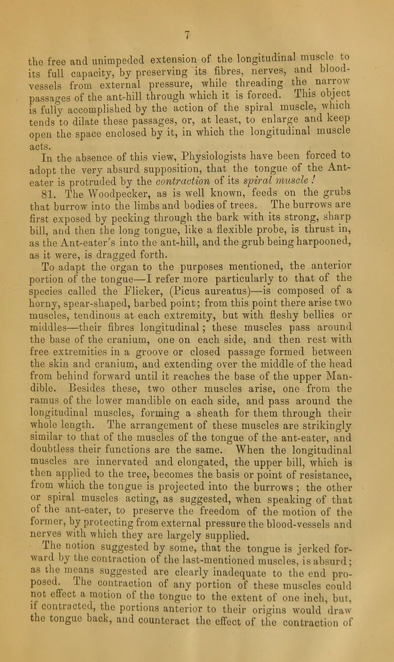 tho free and unimpeded extension of tlie longitudinal mjiscle to its full capacity, by preserving its fibres, nerves, and blood- vessels from external pressure, while threading the_ narrow passages of the ant-hill through which it is forced. This object is fully accomplished by the action of the spiral muscle, which tends to dilate these passages, or, at least, to enlarge and keep open the space enclosed by it, in which the longitudinal muscle acts. In the absence of this view, Physiologists have been forced to adopt the very absurd supposition, that the tongue of the Ant- eater is protruded by the contraction of its spiral muscle I 81. The Woodpecker, as is well known, feeds on the grubs that burrow into the limbs and bodies of trees. The burrows are first exposed by pecking through the bark with its strong, sharp bill, and then the long tongue, like a flexible probe, is thrust in, as the Ant-eater’s into the ant-hill, and the grub being harpooned, as it were, is dragged forth. To adapt the organ to the purposes mentioned, the anterior portion of the tongue—I refer more particularly to that of the species called the Flicker, (Picus aureatus)—is composed of a horny, spear-shaped, barbed point; from this point there arise two muscles, tendinous at each extremity, but with fleshy bellies or middles—their flbres longitudinal; these muscles pass around the base of the cranium, one on each side, and then rest with free extremities in a groove or closed passage formed between the skin and cranium, and extending over the middle of the head from behind forward until it reaches the base of the upper Man- dible. Besides these, two other muscles arise, one from the ramus of the lower mandible on each side, and pass around the longitudinal muscles, forming a sheath for them through their whole length. The arrangement of these muscles are strikingly similar to that of the muscles of the tongue of the ant-eater, and doubtless their functions are the same. When the longitudinal muscles are innervated and elongated, the upper bill, which is then applied to the tree, becomes the basis or point of resistance, from which the tongue is projected into the burrows ; the other or spiral muscles acting, as suggested, when speaking of that of the ant-eater, to preserve the freedom of the motion of the former, by protecting from external pressure the blood-vessels and nerves with which they are largely supplied. The notion suggested by some, that the tongue is jerked for- ward by tlie contraction of the last-mentioned muscles, is absurd; as the means suggested are clearly inadequate to the end pro- posed. The contraction of any portion of these muscles could not effect a motion of the tongue to tho extent of one inch, but, if contiacted, the portions anterior to their origins ■would draw the tongue back, and counteract the eflect of the contraction of