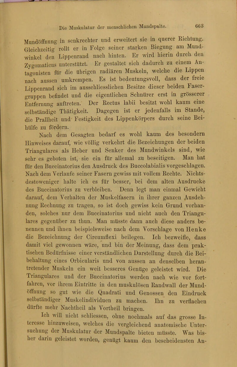 Mundöffnung in senkrechter und erweitert sie in querer Richtung. Gleichzeitig rollt er in Folge seiner starken Biegung am Mund- winkel den Lippenrand nach hinten. Er wird hierin durch den Zygomaticus unterstützt. Er gestaltet sich dadurch zu einem An- tagonisten für die übrigen radiären Muskeln, welche die Lippen nach aussen umkrempen. Es ist bedeutungsvoll, dass der freie Lippenrand sich im ausschliesslichen Besitze dieser beiden Faser- gruppen befindet und die eigentlichen Schnürer erst in grösserer Entfernung auftreten. Der Rectus labii besitzt wohl kaum eine selbständige Thätigkeit. Dagegen ist er jedenfalls im Stande, die Prallkeit und Festigkeit des Lippenkürpers durch seine Bei- hülfe zu fördern. Nach dem Gesagten bedarf es wohl kaum des besondern Hinweises darauf, wie völlig verkehrt die Bezeichungen der beiden Trianguläres als Heber und Senker des Mundwinkels sind, wie sehr es geboten ist, sie ein für allemal zu beseitigen. Man hat für den Buccinatorius den Ausdruck des Buccolabialis vorgeschlagen. Nach dem Verlaufe seiner Fasern gewiss mit vollem Rechte. Nichts- destoweniger halte ich es für besser, bei dem alten Ausdrucke des Buccinatorius zu verbleiben. Denn legt man einmal Gewicht darauf, dem Verhalten der Muskelfasern in ihrer ganzen Ausdeh- nung Rechnung zu tragen, so ist doch gewiss kein Grund vorhan- den, solches nur dem Buccinatorius und nicht auch den Triangu- läres gegenüber zu thun. Man müsste dann auch diese anders be- nennen und ihnen beispielsweise nach dem Vorschläge von Henke die Bezeichnung der Circumflexi beilegen. Ich bezweifle, dass damit viel gewonnen wäre, und bin der Meinung, dass dem prak- tischen Bedürfnisse einer verständlichen Darstellung durch die Bei- behaltung eines Orbicularis und von aussen an denselben heran- tretender Muskeln ein weit besseres Genüge geleistet wird. Die Trianguläres und der Buccinatorius werden nach wie vor fort- fahren, vor ihrem Eintritte in den muskulösen Randwall der Mund- öffnung so gut wie die Quadrati und Genossen den Eindruck selbständiger Muskelindividuen zu machen. Ihn zu verflachen dürfte mehr Nachtheil als Vortheil bringen. Ich will nicht schliessen, ohne nochmals auf das grosse In- teresse hinzuweisen, welches die vergleichend anatomische Unter- suchung der Muskulatur der Mundspalte bieteu müsste. Was bis- hei dariu geleistet worden, genügt kaum den bescheidensten An-