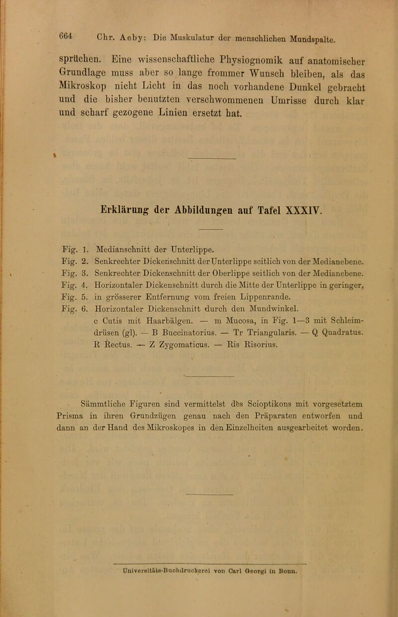 Sprüchen. Eine wissenschaftliche Physiognomik auf anatomischer Grundlage muss aber so lange frommer Wunsch bleiben, als das Mikroskop nicht Licht in das noch vorhandene Dunkel gebracht und die bisher benutzten verschwommenen Umrisse durch klar und scharf gezogene Linien ersetzt hat. * Erklärung der Abbildungen auf Tafel XXXIV. Fig. 1. Medianschnitt der Unterlippe. Fig. 2. Senkrechter Dickenschnitt der Unterlippe seitlich von der Medianebene. Fig. 3. Senkrechter Dickenschnitt der Oberlippe seitlich von der Medianebene. Fig. 4. Horizontaler Dickenschnitt durch die Mitte der Unterlippe in geringer, Fig. 5. in grösserer Entfernung vom freien Lippenrande. Fig. 6. Horizontaler Dickenschnitt durch den Mundwinkel. c Cutis mit Haarbälgen. — m Mucosa, in Fig. 1—3 mit Schleim- drüsen (gl). — B Buccinatorius. — Tr Triangularis. — Q Quadratus. R Rectus. — Z Zygomaticus. — Ris Risorius. Sämmtliche Figuren sind vermittelst dfes Scioptikons mit Vorgesetztem Prisma in ihren Grundzügen genau nach den Präparaten entworfen und dann an der Hand des Mikroskopes in den Einzelheiten ausgearbeitet worden. Univcrsitfitfl-Buchilnickerci von Carl Georgi in Bonn.