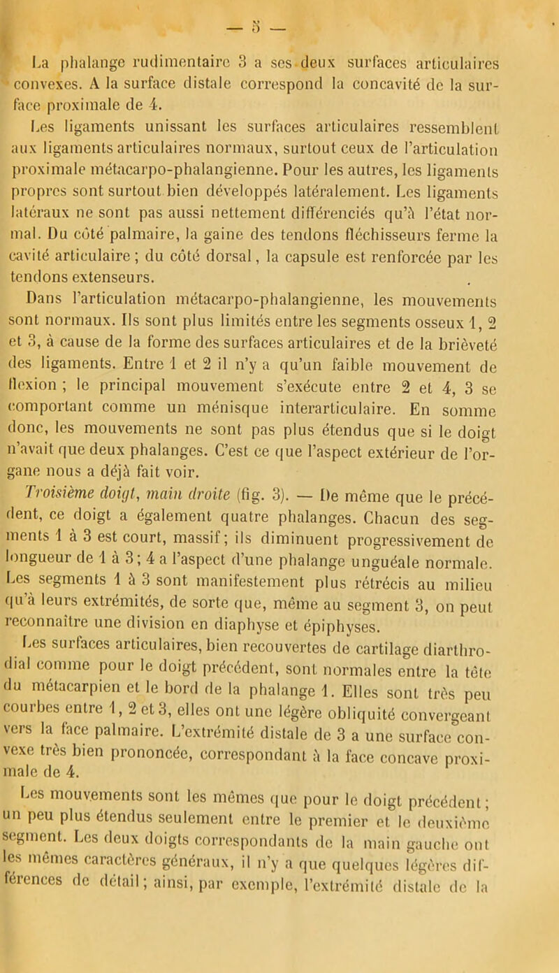 l.a plialange rudimentaire 3 a scs deux surfaces articulaires convexes. A la surface distale correspond la concavité de la sur- face proximale de 4. Les ligaments unissant les surfaces articulaires ressemblent aux ligaments articulaires normaux, surtout ceux de l’articulation proximale métacarpo-phalangienne. Pour les autres, les ligaments propres sont surtout bien développés latéralement. Les ligaments latéraux ne sont pas aussi nettement différenciés qu’à l’état nor- mal. Du coté palmaire, la gaine des tendons fléchisseurs ferme la cavité articulaire ; du côté dorsal, la capsule est renforcée par les tendons extenseurs. Dans l’articulation métacarpo-phalangienne, les mouvements sont normaux. Ils sont plus limités entre les segments osseux 1, 2 et 3, à cause de la forme des surfaces articulaires et de la brièveté des ligaments. Entre 1 et 2 il n’y a qu’un faible mouvement de flexion ; le principal mouvement s’exécute entre 2 et 4, 3 se comportant comme un ménisque interarticulaire. En somme donc, les mouvements ne sont pas plus étendus que si le doigt n’avait que deux phalanges. C’est ce que l’aspect extérieur de l’or- gane nous a déjà fait voir. Troisième doigt, main droite (fig. 3). — De même que le précé- dent, ce doigt a également quatre phalanges. Chacun des seg- ments 1 à 3 est court, massif; ils diminuent progressivement de h)ngueur de 1 à 3; 4 a l’aspect d’une phalange unguéale normale. Les segments 1 à 3 sont manifestement plus rétrécis au milieu quà leurs extrémités, de sorte que, même au segment 3, on peut reconnaître une division en diaphyse et épiphyses. Les surfaces articulaires, bien recouvertes de cartilage diarthro- dial comme pour le doigt précèdent, sont normales entre la tête du métacarpien et le bord de la phalange 1. Elles sont très peu couibes entre 1, 2 et 3, elles ont une légère obliquité convergeant vers la face palmaire. L’extrémité distale de 3 a une surface con- vexe très bien prononcée, correspondant à la face concave proxi- male de 4. Les mouvements sont les mêmes ([ue pour le doigt précédent; un peu plus étendus seulement entre le premier et le deuxième segment. Les deux doigts correspondants de la main gauche ont les mêmes caractères généraux, il n’y a que quelques légères dif- férences de détail ; ainsi, par exemple, l’extrémité distalc de la