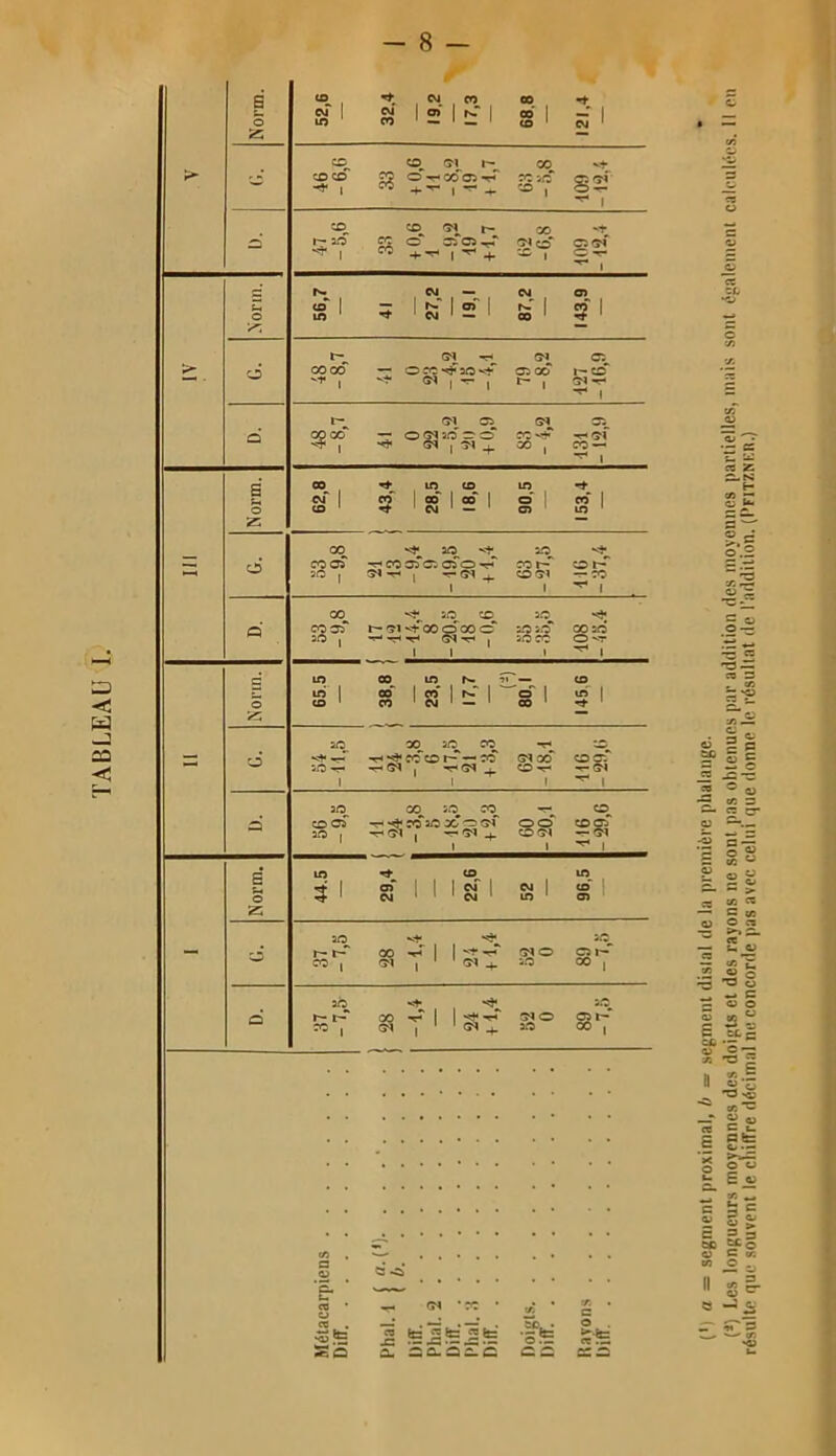 TABLEAU 1. (<) a = segment proximal, b = segment dislal de la première phalange. (1) Les longueurs moyennes des doigts et des rayons ne sont pas obtenues par addition des moyennes partiel résulte que souvent le cliilTre décimal ne concorde pas avec celui que donne le résultat de l’addition. (l’FiTZ.Nicn.)