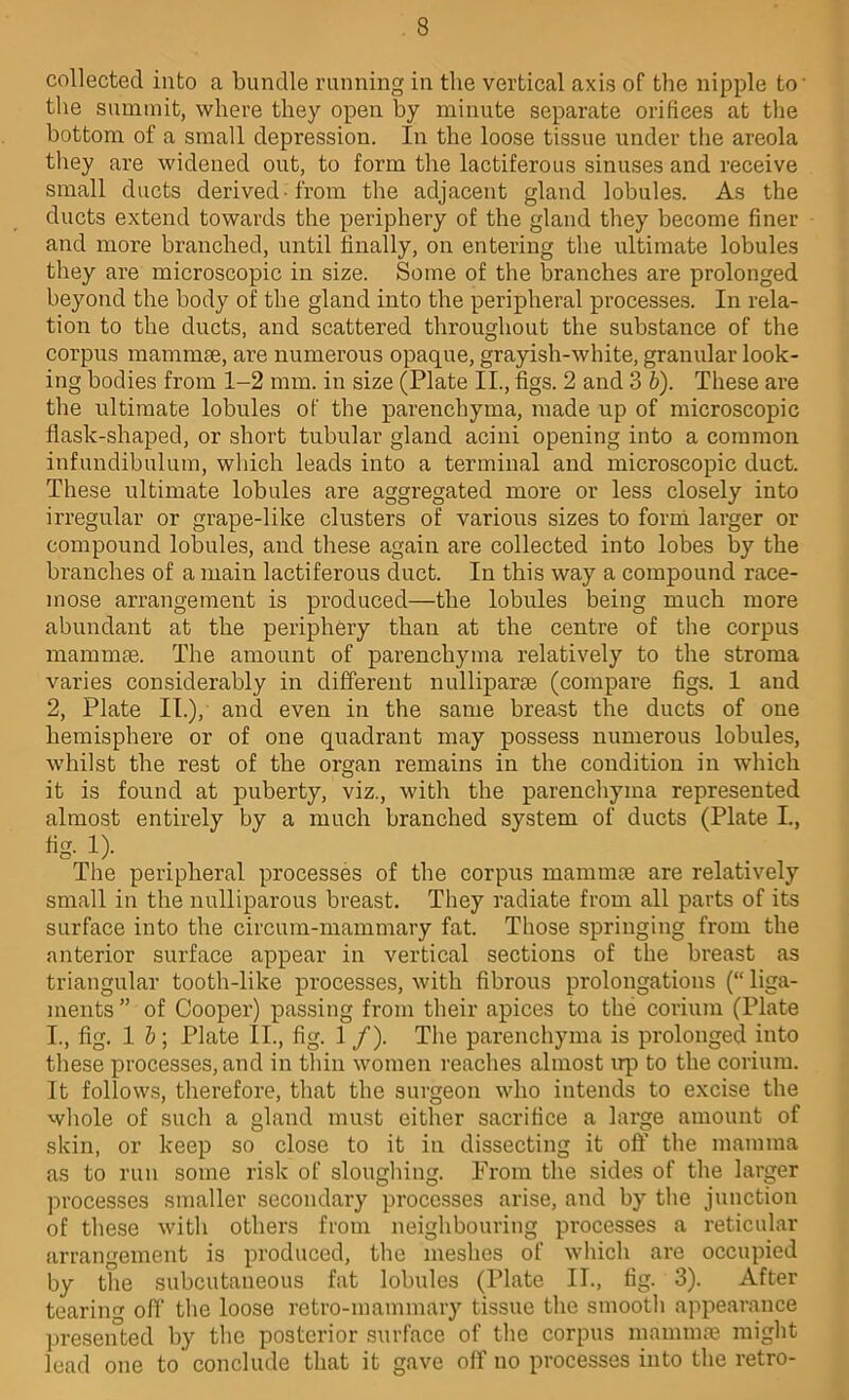 collected into a bundle running in the vertical axis of the nipple to’ tlie summit, where they open by minute separate orifices at the bottom of a small depression. In the loose tissue under the areola tlrey are widened out, to form the lactiferous sinuses and receive small ducts derived-from the adjacent gland lobules. As the ducts extend towards the periphery of the gland they become finer and more branched, until finally, on entering the ultimate lobules they are microscopic in size. Some of the branches are prolonged beyond the body of the gland into the peripheral processes. In rela- tion to the ducts, and scattered throughout the substance of the corpus mammae, are numerous opaque, grayish-white, granular look- ing bodies from 1-2 mm. in size (Plate II., figs. 2 and 3 b). These are the ultimate lobules of the parenchyma, made up of microscopic flask-shaped, or short tubular gland acini opening into a common infundibulum, wliich leads into a terminal and microscopic duct. These ultimate lobules are aggregated more or less closely into irregular or grape-like clusters of various sizes to form larger or compound lobules, and these again are collected into lobes by the branches of a main lactiferous duct. In this way a compound race- mose arrangement is produced—the lobules being much more abundant at the periphery than at the centre of the corpus mammge. The amount of parenchyma relatively to the stroma varies considerably in different nulliparae (compare figs. 1 and 2, Plate It.), and even in the same breast the ducts of one hemisphere or of one quadrant may possess numerous lobules, whilst the rest of the organ remains in the condition in which it is found at puberty, viz., with the parenchyma represented almost entirely by a much branched system of ducts (Plate I., fig. 1). The peripheral processes of the corpus mammae are relatively small in the nulliparous breast. They radiate from all parts of its surface into the circum-mammary fat. Those springing from the anterior surface appear in vertical sections of the breast as triangular tooth-like processes, with fibrous prolongations (“ liga- ments ” of Cooper) passing from their apices to the corium (Plate I., fig. 1 &; Plate II., fig. 1 /). The parenchyma is prolonged into these processes, and in thin women reaches almost irp to the corium. It follows, therefore, that the surgeon who intends to excise the whole of such a gland must either sacrifice a large amount of skin, or keep so close to it in dissecting it off the mamma as to run some risk of sloughing. From the sides of the larger processes smaller secondary processes arise, and by the junction of these witli others from neighbouring processes a reticular arrangement is produced, tlie meshes of which are occupied by tlie subcutaneous fat lobules (Plate II., fig. 3). After tearin ofl’ tlie loose retro-mammary tissue the smooth appearance presei°ted by the posterior surface of the corpus mamma3 might load one to conclude that it gave off no processes into the retro-