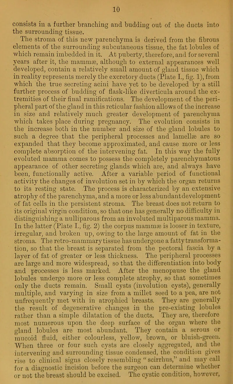 consists in a further branching and budding out of the ducts into the surrounding tissue. The stroma of this new parenchyma is derived from the fibrous elements of the surrounding subcutaneous tissue, the fat lobules of which remain imbedded in it. At puberty, therefore, and for several years after it, the mammse, although to external appearances well developed, contain a relatively small amount of gland tissue wliich in reality represents merely the excretory ducts (Plate L, fig. 1), from which the true secreting acini have yet to be developed by a still further process of budding of flask-like diverticula around the ex- tremities of their final ramifications. The development of the peri- pheral part of the gland in this reticular fashion allows of the increase in size and relatively much greater development of parenchyma which takes place during pregnancy. The evolution consists in the increase both in the number and size of the gland lobules to such a degree that the peripheral processes and lamellae are so expanded that they become approximated, and cause more or less complete absorption of the intervening fat. In this way the fully evoluted mamma comes to possess the completely parenchymatous appearance of other secreting glands which are, and always have been, functionally active. After a variable period of functional activity the changes of involution set in by which the organ returns to its resting state. The process is characterized by an extensive atrophy of the parenchyma, and a more or less abundant development of fat cells in the persistent stroma. The breast does not return to its original virgin condition, so that one has generally no difficulty in distinguishing a nulliparous from an involuted multiparous mamma. In the latter (Plate I., fig. 2) the corpus mammae is looser in texture, irregular, and broken up, owing to the large amount of fat in the stroma. The retro-mammary tissue has undergone a fatty transforma- tion, so that the breast is separated from the pectoral fascia by a layer of fat of greater or less thickness. The peripheral processes are large and more widespread, so that the differentiation into body and processes is less marked. After the menopause the gland lobules undergo more or less complete atrophy, so that sometimes only the ducts remain. Small cysts (involution cysts), generally multiple, and varying in size from a millet seed to a pea, are not unfrequently met with in atrophied breasts. They are generally tlie result of degenerative changes in the pre-existing lobules rather than a simple dilatation of the ducts. They are, therefore most numerous upon the deep surface of the organ where the gland lobules are most abundant. They contain a serous or mucoid Iluid, either colourless, yellow, brown, or bluish-green. When three or four such cysts are closely aggregated, and the intervening and surrounding tissue condensed, the condition gives rise to clinical signs closely resembling “ scirrhus,” and may call for a diagnostic incision before the surgeon can determine whether or not the breast should be excised. Tlie cystic condition, however.