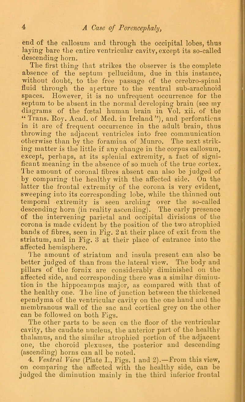 end of the callosum and through the occipital lobes, thus laying hare the entire ventricular cavity, except its so-called descending horn. The first thing that strikes the observer is the complete absence of the septum pellucidum, due in this instance, without doubt, to the free passage of the cerebro-spinal fluid through the aperture to the ventral sub-arachnoid spaces. However, it is no unfrequent occurrence for the septum to be absent in the normal developing brain (see my diagrams of the foetal human brain in Vol. xii. of the “Trans. Roy. Acad, of Med. in Ireland’^), and perforations in it are of frequent occurrence in the adult brain, thus throwing the adjacent ventricles into free communication otherwise than by the foramina of Munro. The next strik- ing matter is the little if any change in the corpus callosum, except, perhaps, at its splenial extremity, a fact of signi- ficant meaning in the absence of so much of the true cortex. The amount of coronal fibres absent can also be judged of by comparing the healthy with the affected side. On the latter the frontal extremity of the coi’ona is very evident, sweeping into its corresponding lobe, while the thinned out temporal extremity is seen arching over the so-called descending horn (in reality ascending). The early presence of the intervening parietal and occipital divisions of the corona is made evident by the position of the two atrophied bands of fibres, seen in Fig. 2 at their place of exit from the striatum, and in Fig. 3 at their place of entrance into the affected hemisphere. 't he amount of striatum and insula present can also be better judged of than from the lateral view. The body and pillars of the fornix are considerably diminished on the affected side, and corresponding there was a similar diminu- tion in the hippocampus major, as compared with that of the healthy one. Uhe line of junction between the thickened ependyma of the ventricular cavity on the one hand and the membranous wall of the sac and cortical grey on the other can be followed on both Figs. The other parts to be seen on the floor of the ventricular cavity, the caudate nucleus, the anterior part of the healthy thalamus, and the similar atrophied portion of the adjacent one, the choroid plexuses, the posterior and descending (ascending) horns can all be noted. 4. Ventral View (Plate I., Figs. 1 and 2).—From this view, on comparing the affected with the healthy side, can be judged the diminution mainly in the third inferior frontal