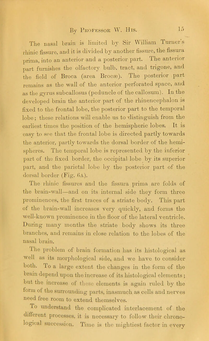 1o The nasal brain is limited by Sir William Turners rhinic fissure, and it is divided by another fissure, the fissura prima, into an anterior and a posterior part. The anterior part furnishes the olfactory bulb, tract, and trigone, and the field of Broca (area Brocae). The posterior part remains as the wall of the anterior perforated space, and as the gyrus subcallosus (peduncle of the callosum). In the developed brain the anterior part of the rhinencephalon is fixed to the frontal lobe, the posterior part to the temporal lobe; these relations will enable us to distinguish from the earliest times the position of the hemispheric lobes. It is easy to see that the frontal lobe is directed partly towards the anterior, partly towards the dorsal border of the hemi- spheres. The temporal lobe is represented by the inferior part of the fixed border, the occipital lobe by its superior part, and the parietal lobe by the posterior part of the dorsal border (Fig. (iA). The rhinic fissures and the fissura prima are folds of the brain-wall—and on its internal side they form three prominences, the first traces of a striate body. This part of the brain-wall increases very quickly, and forms the well-known prominence in the floor of the lateral ventricle. During many months the striate body shows its three branches, and remains in close relation to the lobes of the nasal brain. I he problem of brain formation has its histological as well as its morphological side, and we have to consider both. To a large extent the changes in the form of the brain depend upon the increase of its histological elements ; but the increase of these elements is again ruled by the iorm of the surrounding parts, inasmuch as cells and nerves need Iree room to extend themselves. To understand the complicated interlacement of the different processes, it is necessary to follow their chrono- logical succession. Time is the mightiest factor in every