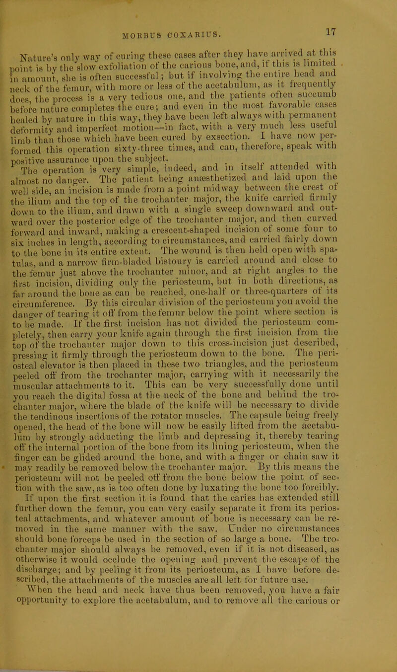 Nature’s only way of curing these cases after they have arrived at this Tioint is by the slow exfoliation of the carious bone, and, it this is limited in amount she is often successful; but if involving the entire head and neck of the femur, with more or less of the acetabulum, as it frequently deformity and imperfect motion—in fact, with a very much less useful limb than those which have been cured by exsection. I have now per- formed this operation sixty-three times, and can, therefore, speak with positive assurance upon the subject. ... The operation is very simple, indeed, and in itself attended with almost no danger. The patient being anaesthetized and laid upon the well side, an incision is made from a point midway between the crest of the ilium and the top of the trochanter major, the knife carried firmly down to the ilium, and drawn with a single sweep downward and out- ward over the posterior edge of the trochanter major, and then curved forward and inward, making a crescent-shaped incision of some four to six inches in length, according to circumstances, and carried fairly down to the bone in its entire extent. The wound is then held open with spa- tulas, and a narrow firm-bladed bistoury is carried around and close to the femur just above the trochanter minor, and at right angles to the first incision, dividing only the periosteum, but in both directions, as far around the bone as can be reached, one-half or three-quarters of its circumference. By this circular division of the periosteum you avoid the danger of tearing it off from the femur below the point where section is to lie made. If the first incision has not divided the periosteum com- pletely, then carry your knife again through the first incision from the top of the trochanter major down to this cross-incision just described, pressing it firmly through the periosteum down to the bone. The peri- osteal elevator is then placed in these two triangles, and the periosteum peeled off from the trochanter major, carrying with it necessarily the muscular attachments to it. This can be very successfully done until you reach the digital fossa at the neck of the bone and behind the tro- chanter major, where the blade of the knife will be necessary to divide the tendinous insertions of the rotator muscles. The capsule being freely opened, the head of the bone will now be easily lifted from the acetabu- lum by strongly adducting the limb and depressing it, thereby tearing off the internal portion of the bone from its lining periosteum, when the finger can be glided around the bone, and with a finger or chain saw it may readily be removed below the trochanter major. By this means the periosteum will not be peeled off from the bone below the point of sec- tion with the saw, as is too often done by luxating the bone too forcibly. If upon the first section it is found that the caries has extended still further down the femur, you can very easily separate it from its perios- teal attachments, and whatever amount of bone is necessary can be re- moved in the same manner with the saw. Under no circumstances should bone forceps be used in the section of so large a bone. The tro- chanter major should always be removed, even if it is not diseased, as otherwise it would occlude the opening and prevent the escape of the discharge; and by peeling it from its periosteum, as I have before de- scribed, the attachments of the muscles are all left for future use. When the head and neck have thus been removed, you have a fair opportunity to explore the acetabulum, and to remove all the carious or