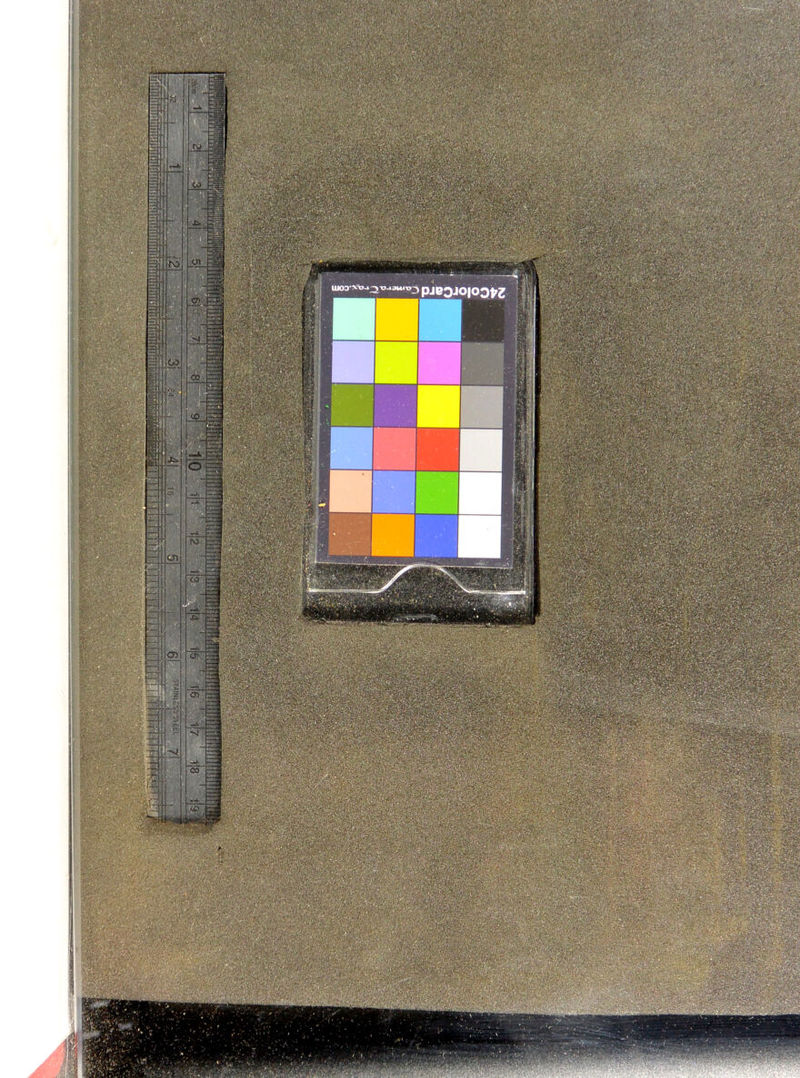 ’•• :-*? ii-.;'/•.*'*• y