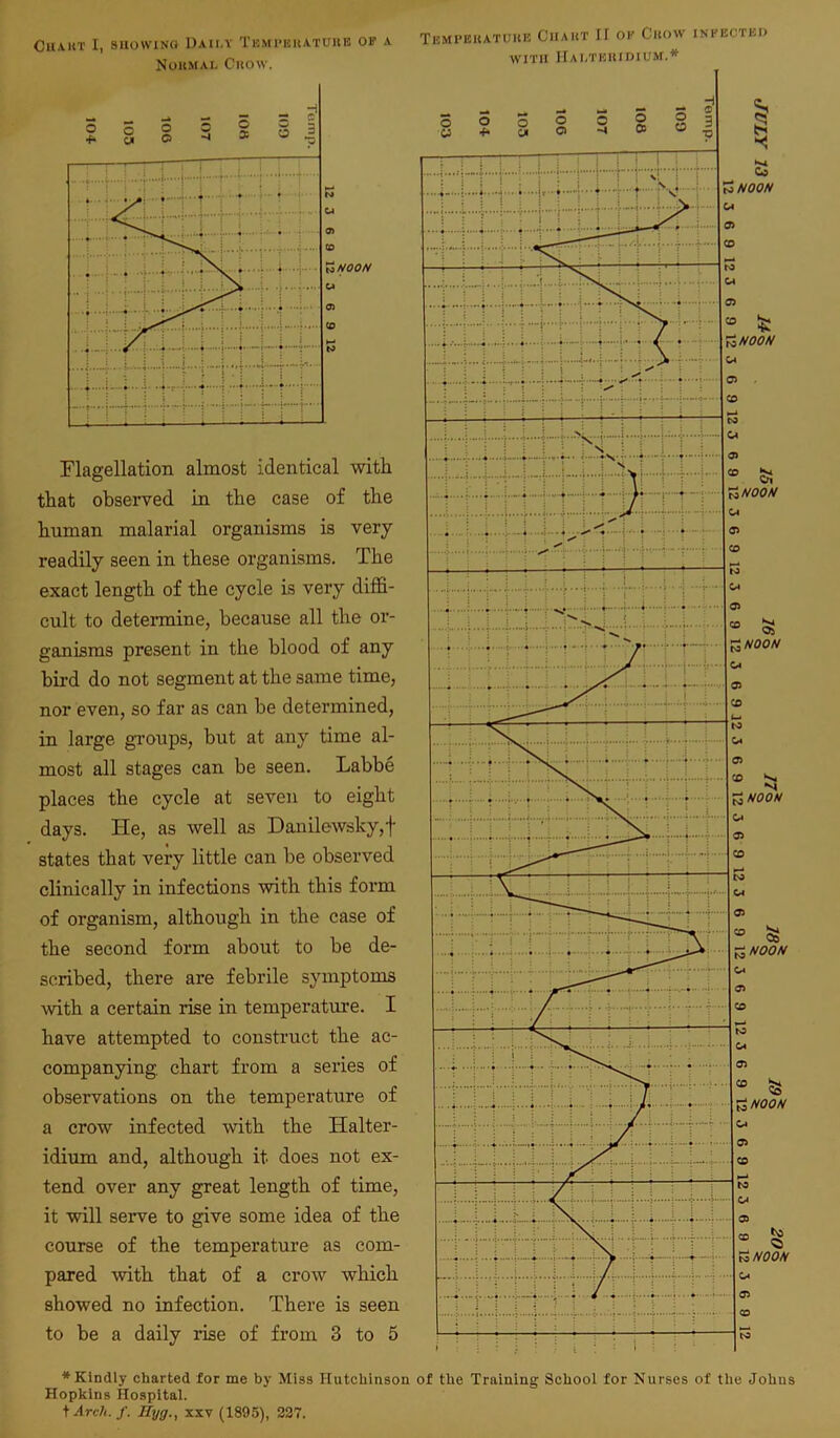 Chart I, showing Daily Temperature op a Normal Crow. Flagellation almost identical with that observed in the case of the human malarial organisms is very readily seen in these organisms. The exact length of the cycle is very diffi- cult to determine, because all the or- ganisms present in the blood of any bird do not segment at the same time, nor even, so far as can be determined, in large groups, but at any time al- most all stages can be seen. Labbe places the cycle at seven to eight days. Tie, as well as Danilewsky,f states that very little can be observed clinically in infections with this form of organism, although in the case of the second form about to be de- scribed, there are febrile symptoms with a certain rise in temperature. I have attempted to construct the ac- companying chart from a series of observations on the temperature of a crow infected with the Halter- idium and, although it does not ex- tend over any great length of time, it will serve to give some idea of the course of the temperature as com- pared with that of a crow which showed no infection. There is seen to be a daily rise of from 3 to 5 Temperature Chart If op Chow infected WITH HALTERIDIUM.* ♦Kindly charted for me by Miss Hutchinson of the Training School for Nurses of the Johus Hopkins Hospital. t Arch. f. Hyg., xxv (1895), 227.