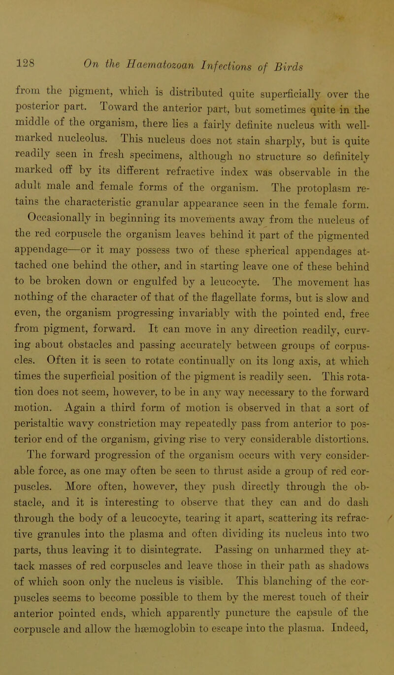 from the pigment, which is distributed quite superficially over the posterior part. Toward the anterior part, but sometimes quite in the middle of the organism, there lies a fairly definite nucleus with well- marked nucleolus. I his nucleus does not stain sharply, but is quite readily seen in fresh specimens, although no structure so definitely marked off by its different refractive index was observable in the adult male and female forms of the organism. The protoplasm re- tains the characteristic granular appearance seen in the female form. Occasionally in beginning its movements away from the nucleus of the red corpuscle the organism leaves behind it part of the pigmented appendage—or it may possess two of these spherical appendages at- tached one behind the other, and in starting leave one of these behind to be broken down or engulfed by a leucocyte. The movement has nothing of the character of that of the flagellate forms, but is slow and even, the organism progressing invariably with the pointed end, free from pigment, forward. It can move in any direction readily, curv- ing about obstacles and passing accurately between groups of corpus- cles. Often it is seen to rotate continually on its long axis, at which times the superficial position of the pigment is readily seen. This rota- tion does not seem, however, to be in any way necessary to the forward motion. Again a third form of motion is observed in that a sort of peristaltic wavy constriction may repeatedly pass from anterior to pos- terior end of the organism, giving rise to very considerable distortions. The forward progression of the organism occurs with very consider- able force, as one may often be seen to thrust aside a group of red cor- puscles. More often, however, they push directly through the ob- stacle, and it is interesting to observe that they can and do dash through the body of a leucocyte, tearing it apart, scattering its refrac- tive granules into the plasma and often dividing its nucleus into two parts, thus leaving it to disintegrate. Passing on unharmed they at- tack masses of red corpuscles and leave those in their path as shadows of which soon only the nucleus is visible. This blanching of the cor- puscles seems to become possible to them by the merest touch of their anterior pointed ends, which apparently puncture the capsule of the corpuscle and allow the haemoglobin to escape into the plasma. Indeed,