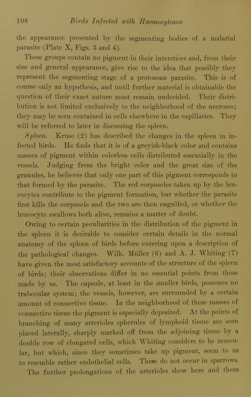 the appearance presented by the segmenting bodies of a malarial parasite (Plate X, Figs. 3 and 4). These groups contain no pigment in their interstices and, from their size and general appearance, give rise to the idea that possibly they represent the segmenting stage of a protozoan parasite. This is of course only an hypothesis, and until further material is obtainable the question of their exact nature must remain undecided. Their distri- bution is not limited exclusively to the neighborhood of the necroses; they may be seen contained in cells elsewhere in the capillaries. They will be referred to later in discussing the spleen. Spleen. Kruse (2) has described the changes in the spleen in in- fected birds. Tie finds that it is of a greyish-black color and contains masses of pigment within colorless cells distributed essentially in the vessels. Judging from the bright color and the great size of the granules, he believes that only one part of this pigment corresponds to that formed by the parasite. The red corpuscles taken up by the leu- cocytes contribute to the pigment formation, but whether the parasite first kills the corpuscle and the two are then engulfed, or whether the leucocyte swallows both alive, remains a matter of doubt. Owing to certain peculiarities in the distribution of the pigment in the spleen it is desirable to consider certain details in the normal anatomy of the spleen of birds before entering upon a description of the pathological changes. Willi. Muller (6) and A. J. Whiting (7) have given the most satisfactory accounts of the structure of the spleen of birds; their observations differ in no essential points from those made by us. The capsule, at least in the smaller birds, possesses no trabecular system; the vessels, however, are surrounded by a certain amount of connective tissue. In the neighborhood of these masses of connective tissue the pigment is especially deposited. At the points of branching of many arterioles spherules of lymphoid tissue are seen placed laterally, sharply marked off from the adjoining tissue by a double row of elongated cells, which Whiting considers to be muscu- lar, but which, since they sometimes take up pigment, seem to us to resemble rather endothelial cells. 1 hese do not occur in spai i ows. The further prolongations of the arterioles show here and there