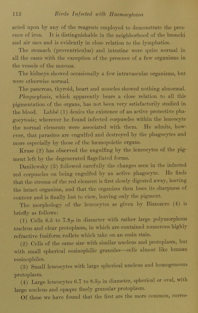 acted upon by any of the reagents employed to demonstrate the pres- ence of iron. It is distinguishable in the neighborhood of the bronchi and air sacs and is evidently in close relation to the lymphatics. The stomach (proventriculus) and intestine were quite normal in all the cases with the exception of the presence of a few organisms in the vessels of the mucosa. The kidneys showed occasionally a few intravascular organisms, but were otherwise normal. The pancreas, thyroid, heart and muscles showed nothing abnormal. Phagocytosis, which apparently bears a close relation to all this pigmentation of the organs, has not been very satisfactorily studied in the blood. Labbe (1) denies the existence of an active protective pha- gocytosis; wherever he found infected corpuscles within the leucocyte the normal elements were associated with them. He admits, how- ever, that parasites are engulfed and destroyed by the phagocytes and more especially by those of the hemopoietic organs. Kruse (2) has observed the engulfing by the leucocytes of the pig- ment left by the degenerated flagellated forms. Danilewsky (3) followed carefully the changes seen in the infected red corpuscles on being engulfed by an active phagocyte. He finds that the stroma of the red element is first slowly digested away, leaving the intact organism, and that the organism then loses its sharpness of contour and is finally lost to view, leaving only the pigment. The morphology of the leucocytes as given by Bizzozero (4) is briefly as follows: (1) Cells 6.5 to 7.8/i in diameter with rather large polymorphous nucleus and clear protoplasm, in which are contained numerous highly refractive fusiform rodlets which take on an eosin stain. (2) Cells of the same size with similar nucleus and protoplasm, but with small spherical eosinophilic granules—cells almost like human eosinophiles. (3) Small leucocytes with large spherical nucleus and homogeneous protoplasm. (4) Large leucocytes 6.7 to 8.3y in diameter, spherical or oval, with large nucleus and opaque finely granular protoplasm. Of these we have found that the first are the more common, corres-