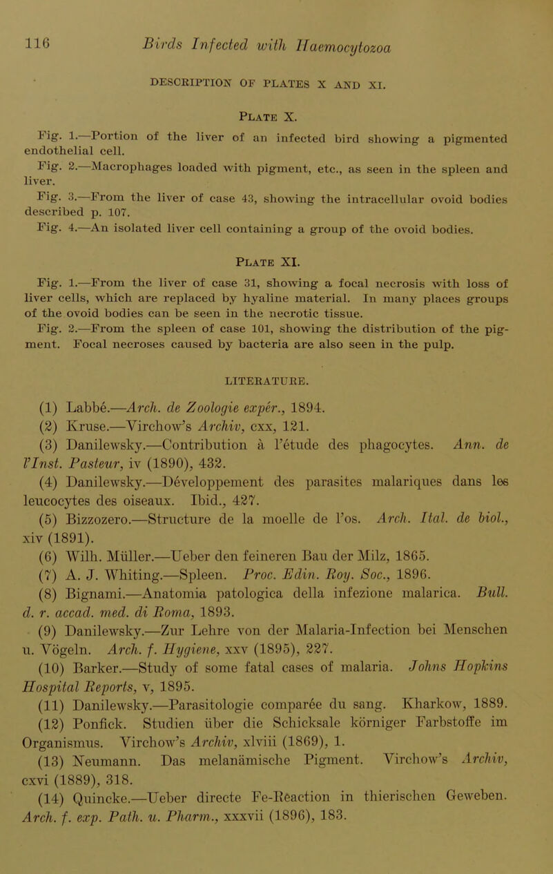 DESCRIPTION OF PLATES X AND XI. Plate X. Fig-. 1. Portion of the liver of an infected bird showing a pigmented endothelial cell. Fig. 2. Macrophages loaded with pigment, etc., as seen in the spleen and liver. Fig. 3.—From the liver of case 43, showing the intracellular ovoid bodies described p. 107. Fig. 4.—An isolated liver cell containing a group of the ovoid bodies. Plate XI. Fig. 1.—From the liver of case 31, showing a focal necrosis with loss of liver cells, which are replaced by hyaline material. In many places groups of the ovoid bodies can be seen in the necrotic tissue. Fig. 2.—From the spleen of case 101, showing the distribution of the pig- ment. Focal necroses caused by bacteria are also seen in the pulp. LITERATURE. (1) Labbe.—Arch, de Zoologie exp'er., 1894. (2) Kruse.—Virchow’s Archiv, cxx, 121. (3) Danilewsky.—Contribution a l’etude ties phagocytes. Ann. de VInst. Pasteur, iv (1890), 432. (4) Danilewsky.—Developpement des parasites nialariques dans les leucocytes des oiseaux. Ibid., 427. (5) Bizzozero.—Structure de la moelle de l’os. Arch. Ital. de biol., xiv (1891). (6) Willi. Muller.—Ueber den feineren Bau der Milz, 1865. (7) A. J. Whiting.—Spleen. Proc. Edin. Roy. Soc., 1896. (8) Bignami.—Anatomia patologica della infezione malarica. Bull, d. r. accad. vied, di Roma, 1893. (9) Danilewsky.—Zur Lelire von der Malaria-Infection bei Menschen u. Vogeln. Arch. f. Hygiene, xxv (1895), 227. (10) Barker.—Study of some fatal cases of malaria. Johns Hopkins Hospital Reports, v, 1895. (11) Danilewsky.—Parasitologie comparee du sang. Kharkow, 1889. (12) Ponfick. Studien iiber die Schicksale korniger Farbstoffe im Organismus. Virchow’s Archiv, xlviii (1869), 1. (13) Neumann. Das melanamische Pigment. Virchow’s Archiv, cxvi (1889), 318. (14) Quincke.—Ueber directe Fe-Eeaction in thierischen Geweben. Arch. f. exp. Path. u. Pharm., xxxvii (1896), 183.