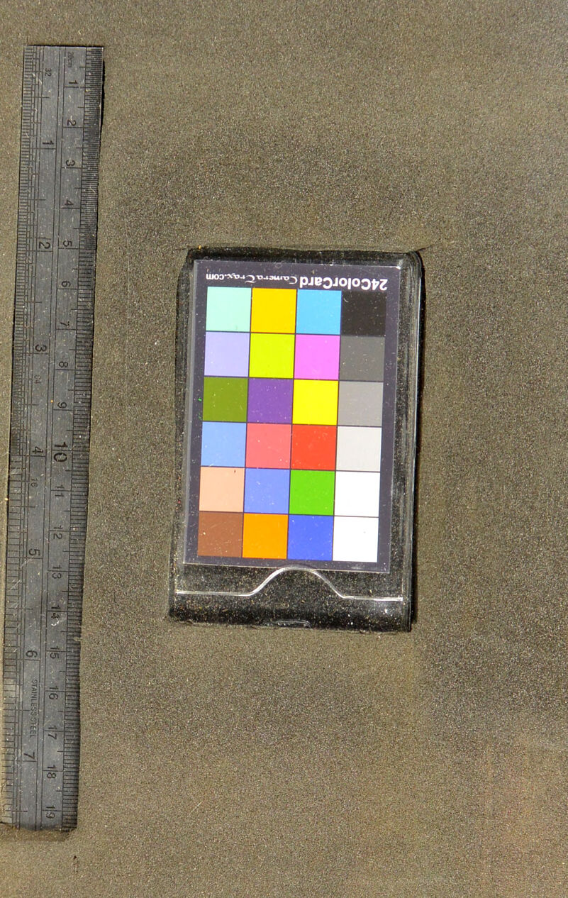 1 : . -. '■ - - ' | ■ 1 j ■ ■