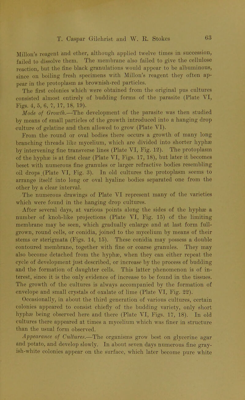 Millon’s reagent and ether, although applied twelve times in succession, failed to dissolve them. The membrane also failed to give the cellulose reaction, but the fine black granulations would appear to be albuminous, since on boiling fresh specimens with Millon’s reagent they often ap- pear in the protoplasm as brownish-red particles. The first colonies which were obtained from the original pus cultures consisted almost entirely of budding forms of the parasite (Plate YI, Figs. 4, 5, 6, 7, 17, 18, 19). Mode of Growth.—The development of the parasite was then studied by means of small particles of the growth introduced into a hanging drop culture of gelatine and then allowed to grow (Plate VI). From the round or oval bodies there occurs a growth of many long branching threads like mycelium, which are divided into shorter hyphae by intervening fine transverse lines (Plate VI, Fig. 12). The protoplasm of the hyphae is at first clear (Plate VI, Figs. 17, 18), but later it becomes beset with numerous fine granules or larger refractive bodies resembling oil drops.(Plate VI, Fig. 3). In old cultures the protoplasm seems to arrange itself into long or oval hyaline bodies separated one from the other by a clear interval. The numerous drawings of Plate VI represent many of the varieties which were found in the hanging drop cultures. After several days, at various points along the sides of the hyphae a number of knob-like projections (Plate VI, Fig. 15) of the limiting membrane may be seen, which gradually enlarge and at last form full- grown, round cells, or conidia, joined to the mycelium by means of their stems or sterigmata (Figs. 14, 15). These conidia may possess a double contoured membrane, together with fine or coarse granules. They may also become detached from the hyphae, when they can either repeat the cycle of development just described, or increase by the process of budding and the formation of daughter cells. This latter phenomenon is of in- terest, since it is the only evidence of increase to be found in the tissues. The growth of the cultures is always accompanied by the formation of envelope and small crystals of oxalate of lime (Plate VI, Fig. 22). Occasionally, in about the third generation of various cultures, certain colonies appeared to consist chiefly of the budding variety, only short hyphfe being observed here and there (Plate VI, Figs. 17, 18). In old cultures there appeared at times a mycelium which was finer in structure than the usual form observed. Appearance of Cultures.—The organisms grow best on glycerine agar and potato, and develop slowly. In about seven days numerous fine gray- ish-white colonies appear on the surface, which later become pure white