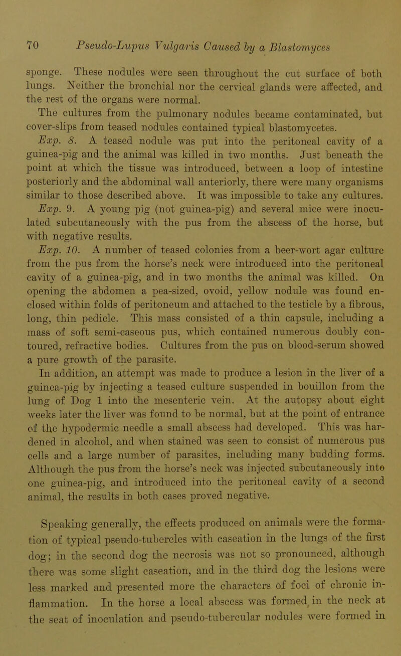 sponge. These nodules were seen throughout the cut surface of both lungs. Neither the bronchial nor the cervical glands were affected, and the rest of the organs were normal. The cultures from the pulmonary nodules became contaminated, but cover-slips from teased nodules contained typical blastomycetes. Exp. 8. A teased nodule was put into the peritoneal cavity of a guinea-pig and the animal was killed in two months. Just beneath the point at which the tissue was introduced, between a loop of intestine posteriorly and the abdominal wall anteriorly, there were many organisms similar to those described above. It was impossible to take any cultures. Exp. 9. A young pig (not guinea-pig) and several mice were inocu- lated subcutaneously Avith the pus from the abscess of the horse, but with negative results. Exp. 10. A number of teased colonies from a beer-wort agar culture from the pus from the horse’s neck Avere introduced into the peritoneal cavity of a guinea-pig, and in tAvo months the animal was killed. On opening the abdomen a pea-sized, ovoid, yellow nodule was found en- closed within folds of peritoneum and attached to the testicle by a fibrous, long, thin pedicle. This mass consisted of a thin capsule, including a mass of soft semi-caseous pus, which contained numerous doubly con- toured, refractive bodies. Cultures from the pus on blood-serum showed a pure growth of the parasite. In addition, an attempt Avas made to produce a lesion in the liver of a guinea-pig by injecting a teased culture suspended in bouillon from the lung of Dog 1 into the mesenteric vein. At the autopsy about eight weeks later the liver Avas found to be normal, but at the point of entrance of the hypodermic needle a small abscess had developed. This Avas har- dened in alcohol, and Avhen stained Avas seen to consist of numerous pus cells and a large number of parasites, including many budding forms. Although the pus from the horse’s neck was injected subcutaneously into one guinea-pig, and introduced into the peritoneal cavity of a second animal, the results in both cases proved negative. Speaking generally, the effects produced on animals were the forma- tion of typical pseudo-tubercles with caseation in the lungs of the first dog; in the second dog the necrosis was not so pronounced, although there AAras some slight caseation, and in the third dog the lesions were less marked and presented more the characters of foci of chronic in- flammation. In the horse a local abscess Avas formed, in the neck at the seat of inoculation and pseudo-tubercular nodules Avere formed in