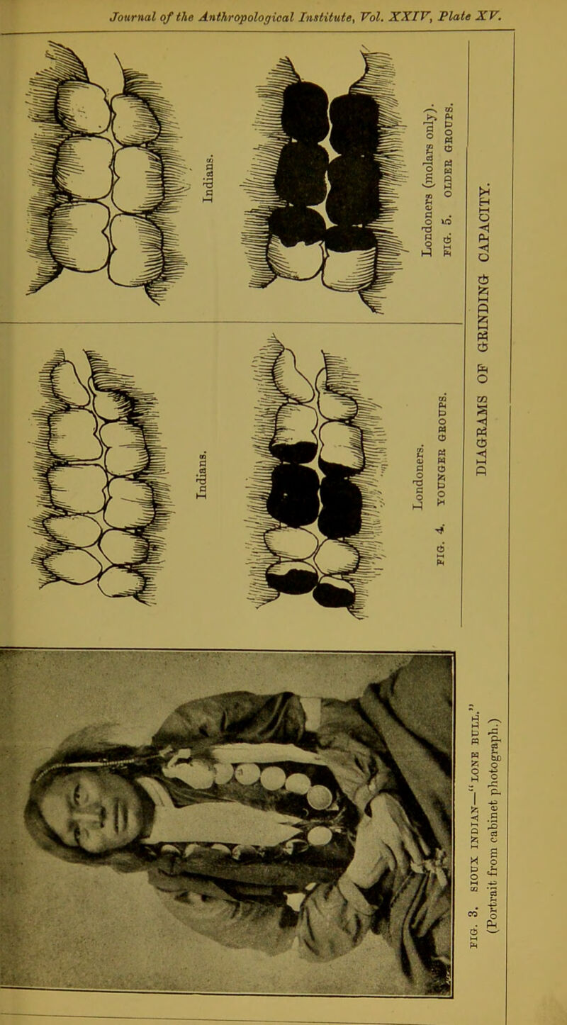 DIAGRAMS OF GRINDING CAPACITY.