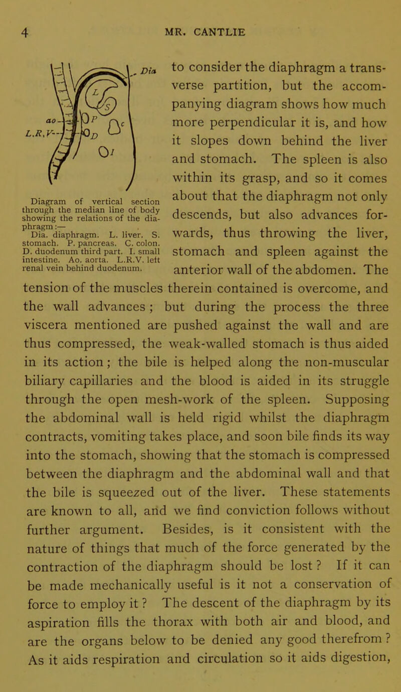 . Din Diagram of vertical section through the median line of body showing the relations of the dia- phragm :— Dia. diaphragm. L. liver. S. stomach. P. pancreas. C. colon. D. duodenum third part. I. small intestine. Ao. aorta. L.R.V. left renal vein behind duodenum. to consider the diaphragm a trans- verse partition, but the accom- panying diagram shows how much more perpendicular it is, and how it slopes down behind the liver and stomach. The spleen is also within its grasp, and so it comes about that the diaphragm not only descends, but also advances for- wards, thus throwing the liver, stomach and spleen against the anterior wall of the abdomen. The tension of the muscles therein contained is overcome, and the wall advances; but during the process the three viscera mentioned are pushed against the wall and are thus compressed, the weak-walled stomach is thus aided in its action ; the bile is helped along the non-muscular biliary capillaries and the blood is aided in its struggle through the open mesh-work of the spleen. Supposing the abdominal wall is held rigid whilst the diaphragm contracts, vomiting takes place, and soon bile finds its way into the stomach, showing that the stomach is compressed between the diaphragm and the abdominal wall and that the bile is squeezed out of the liver. These statements are known to all, and we find conviction follows without further argument. Besides, is it consistent with the nature of things that much of the force generated by the contraction of the diaphragm should be lost ? If it can be made mechanically useful is it not a conservation of force to employ it ? The descent of the diaphragm by its aspiration fills the thorax with both air and blood, and are the organs below to be denied any good therefrom ? As it aids respiration and circulation so it aids digestion,