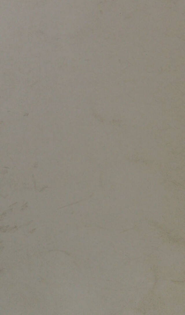 digitised image 2