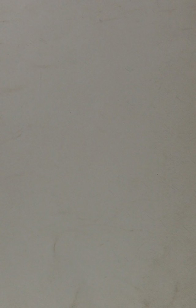 digitised image 2