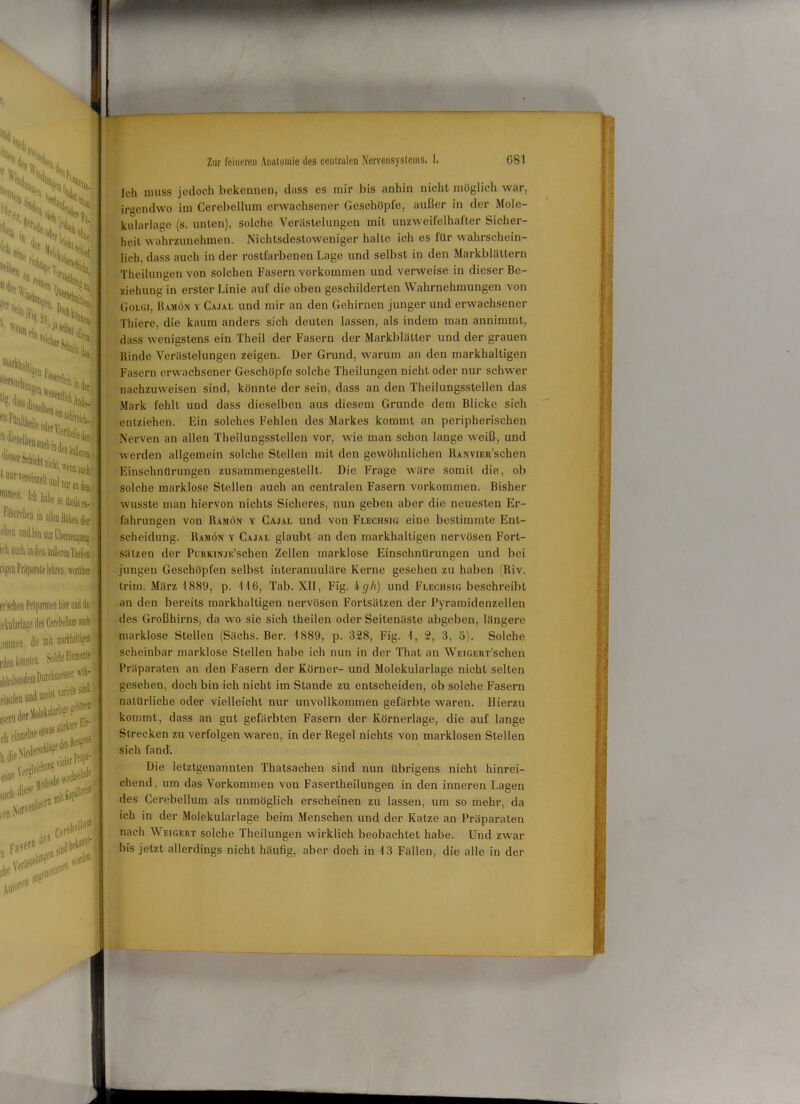 V \ i N, s, Ny;'« °hne ... 4t '“'er Ni.rVJre^()?S^ ,„r rV Hi„ faltige,, h ilefstiehüngr Uercbei> Nass 4 Lilien i teile oder yj, 'MieselU.-,,. uur 'ereinielt und i »n- »ohbabesoiheisr,. I-dsercheu in allen Uöbeo der uod bin mr Cbenengnngi ieli auch ia den äufierfflMffi. rigeo Präparate lehren, worüber ir’schen Piilparalen hier und da,; ^[iitiien. die ®i1 narkhalligeB ■ rtieu küoQlea. So!f6e0emenle| **‘*“*r®l« ***<**,;> eine Verf »p». j.«***l - w*'11. Fi« *’ ■idJl“11”’1 4 Ich muss jedoch bekennen, dass es mir bis anhin nicht möglich war, irgendwo im Cerebellum erwachsener Geschöpfe, außer in der Mole- kularlage (s. unten), solche Verästelungen mit unzweifelhafter Sicher- heit wahrzunehmen. Nichtsdestoweniger halte ich es für wahrschein- lich, dass auch in der rostfarbenen Lage und selbst in den Markblättern Theilungen von solchen Fasern Vorkommen und verweise in dieser Be- ziehung in erster Linie auf die oben geschilderten Wahrnehmungen von Golgi, Ramön v Cajal und mir an den Gehirnen junger und erwachsener Thiere, die kaum anders sich deuten lassen, als indem man annimmt, dass wenigstens ein Theil der Fasern der Markblätter und der grauen llinde Verästelungen zeigen. Der Grund, warum an den markhaitigen Fasern erwachsener Geschöpfe solche Theilungen nicht oder nur schwer nachzuweisen sind, könnte der sein, dass an den Theilungsstellcn das Mark fehlt und dass dieselben aus diesem Grunde dem Blicke sich entziehen. Ein solches Fehlen des Markes kommt an peripherischen Nerven an allen Theilungsstellcn vor, wie man schon lange weiß, und werden allgemein solche Stellen mit den gewöhnlichen RANViEii’schen Einschnürungen zusammengestellt. Die Frage wäre somit die, ob solche marklose Stellen auch an centralen Fasern Vorkommen. Bisher wusste man hiervon nichts Sicheres, nun geben aber die neuesten Er- fahrungen von Ramön y Cajal und von Flechsig eine bestimmte Ent- scheidung. Ramön y Cajal glaubt an den markhaltigen nervösen Fort- sätzen der PuiiKiNJu’schen Zellen marklose Einschnürungen und bei jungen Geschöpfen selbst interannuläre Kerne gesehen zu haben (Riv. trim. März 1889, p. 116, Tab. XII, Fig. igh) und Flechsig beschreibt an den bereits markhaltigen nervösen Fortsätzen der Pyramidenzellen des Großhirns, da wo sie sieh theilen oder Seitenäste abgeben, längere marklose Stellen (Sächs. Ber. 1889, p. 328, Fig. 1, 2, 3, ö). Solche scheinbar marklose Stellen habe ich nun in der That an WiaGEiir’schen Präparaten an den Fasern der Körner- und Molekularlage nicht selten gesehen, doch bin ich nicht im Stande zu entscheiden, ob solche Fasern natürliche oder vielleicht nur unvollkommen gefärbte waren. Hierzu kommt, dass an gut gefärbten Fasern der Körnerlage, die auf lange Strecken zu verfolgen waren, in der Regel nichts von marklosen Stellen sich fand. Die letztgenannten Thatsacheu sind nun übrigens nicht hinrei- chend, um das Vorkommen von Fasertheilungen in den inneren Lagen des Cerebellum als unmöglich erscheinen zu lassen, um so mehr, da ich in der Molekularlage beim Menschen und der Katze an Präparaten nach Weigert solche Theilungen wirklich beobachtet habe. Und zwar bis jetzt allerdings nicht häufig, aber doch in 13 Fällen, die alle in der