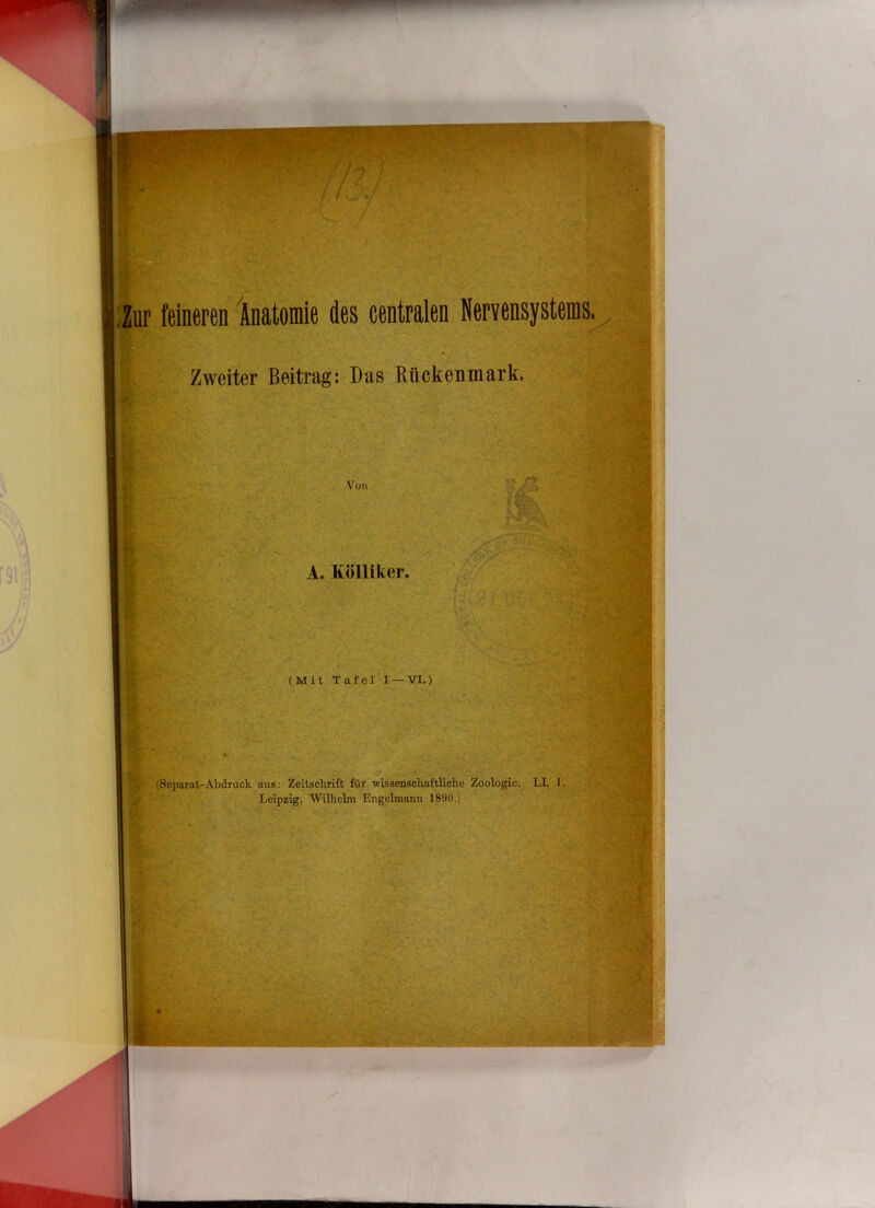 Zur feineren Anatomie des centralen Nervensystems. . Zweiter Beitrag; Das Rückenmark. (Separat-Abdruck aus: Zeitschrift für wissenschaftliche Zoologie. LI. 1. Leipzig, Wilhelm Engelmann 1890.)