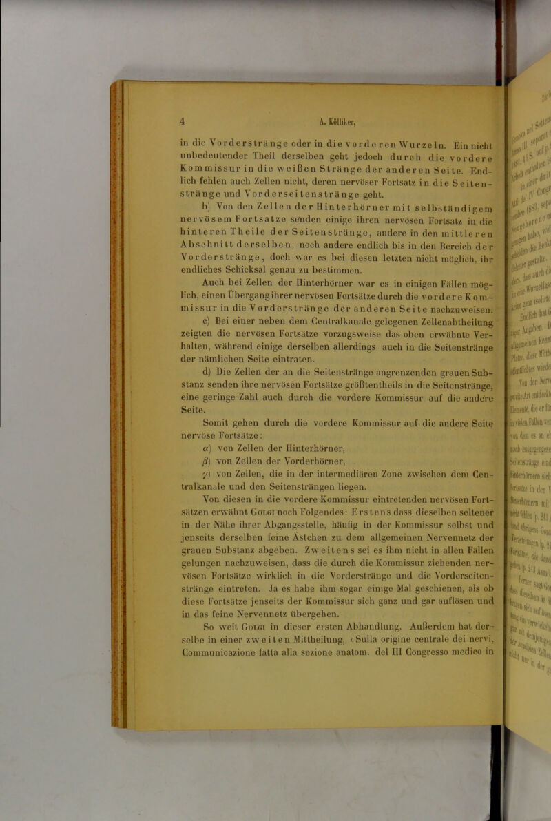 in die Vorderstränge oder in die vorderen Wurzeln. Ein nicht unbedeutender Theil derselben geht jedoch durch die vordere Kommissur in die weißen Stränge der anderen Seite. End- lich fehlen auch Zellen nicht, deren nervöser Fortsatz in die Seiten- stränge und Vorderseitenstränge geht. b) Von den Z el le n de r II in ter hör ner mi t s e lbständ igern nervösem Fortsatze senden einige ihren nervösen Fortsatz in die hinteren Theile der Seiten stränge, andere in den mittleren Abschnitt derselben, noch andere endlich bis in den Bereich der Vorderstränge, doch war es bei diesen letzten nicht möglich, ihr endliches Schicksal genau zu bestimmen. Auch bei Zellen der Hinterhörner war es in einigen Fällen mög- lich, einen Übergang ihrer nervösen Fortsätze durch die vordere Kom- missur in die Vorderstränge der anderen Seite nachzuweisen. c) Bei einer neben dem Centralkanale gelegenen Zellenabtheilung zeigten die nervösen Fortsätze vorzugsweise das oben erwähnte Ver- halten, während einige derselben allerdings auch in die Seitenstränge der nämlichen Seite eintraten. d) Die Zellen der an die Seitenstränge angrenzenden grauen Sub- stanz senden ihre nervösen Fortsätze größtenteils in die Seitenstränge, eine geringe Zahl auch durch die vordere Kommissur auf die andere Seite. Somit gehen durch die vordere Kommissur auf die andere Seite nervöse Fortsätze: a) von Zellen der Hinterhörner, ß) von Zellen der Vorderhörner, y) von Zellen, die in der intermediären Zone zwischen dem Cen- tralkanale und den Seitensträngen liegen. Von diesen in die vordere Kommissur eintretenden nervösen Fort- sätzen erwähnt Golgi noch Folgendes: Erstens dass dieselben seltener in der Nähe ihrer Abgangsstelle, häufig in der Kommissur selbst und jenseits derselben feine Ästchen zu dem allgemeinen Nervennetz der grauen Substanz abgeben. Zweitens sei es ihm nicht in allen Fällen gelungen nachzuweisen, dass die durch die Kommissur ziehenden ner- vösen Fortsätze wirklich in die Vorderstränge und die Vorderseiten- stränge eintreten. Ja es habe ihm sogar einige Mal geschienen, als ob diese Fortsätze jenseits der Kommissur sich ganz und gar auflösen und in das feine Nervennetz übergehen. So weit Golgi in dieser ersten Abhandlung. Außerdem hat der- selbe in einer zweiten Mittheilung, »Sulla origine centrale dei nervi,. Gommunicazione fatta alla sezione anatom. del III Congresso medico in