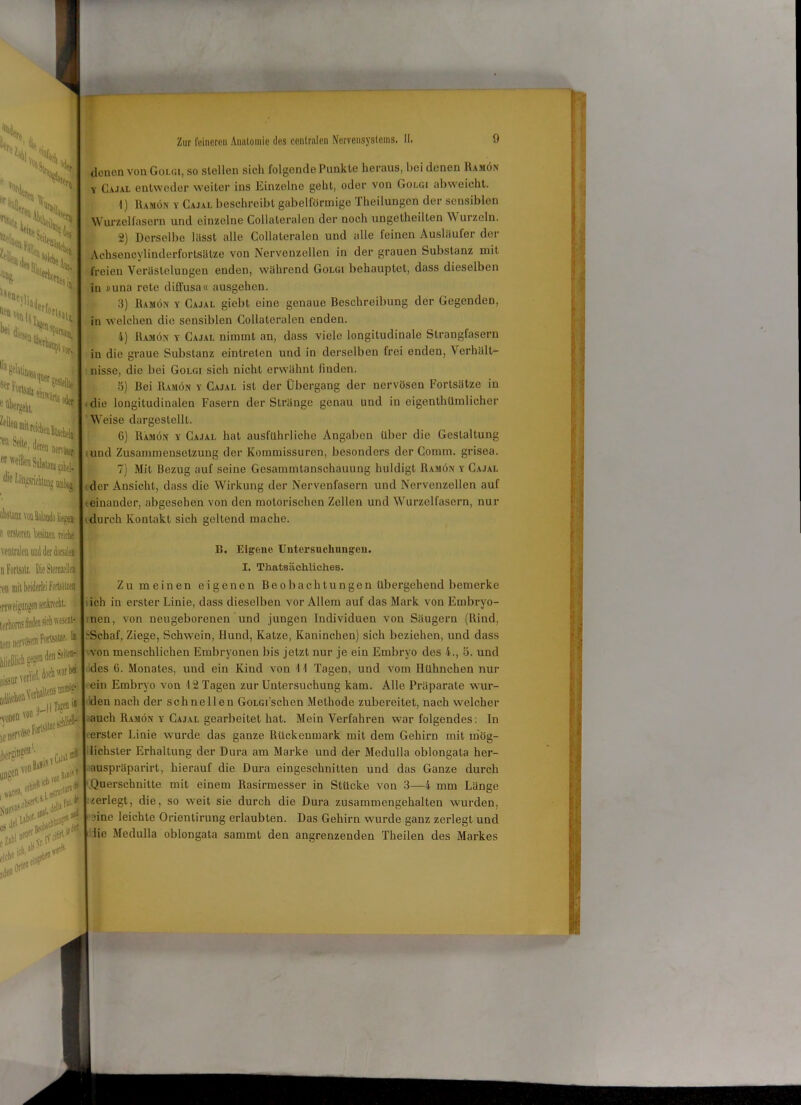 Cv I ■•'“i csj X 1 (r*nL '«tu, StSI >cxa V, X \ xj XiM,,. *• *b «J er döen Snltttajttp^l /..:intisrichtung urnboj F TS” denen von Golgi, so stellen sich folgende Punkte heraus, bei denen Ramön Y Cajal entweder weiter ins Einzelne geht, oder von Goi.gi abweicht. 1) Ramön y Cajal beschreibt gabelförmige Theilungen der sensiblen Wurzelfasern und einzelne Gollateralen der noch ungetheilten Wurzeln. 2) Derselbe hisst alle Collateralen und alle feinen Ausläufer der Achsencylinderfortsälze von Nervenzellen in der grauen Substanz mit freien Verästelungen enden, während Golgi behauptet, dass dieselben in »una rete diffusa« ausgehen. 3) Ramön y Cajal giebt eine genaue Beschreibung der Gegenden, in welchen die sensiblen Collateralen enden. 4) Ramön y Cajal nimmt an, dass viele longitudinale Strangfasern in die graue Substanz eintrelen und in derselben frei enden, Verhält- nisse, die bei Golgi sich nicht erwähnt finden. 5) Bei Ramön y Cajal ist der Übergang der nervösen Fortsätze in :die longitudinalen Fasern der Stränge genau und in eigentümlicher Weise dargestellt. C) Ramön y Cajal hat ausführliche Angaben über die Gestaltung und Zusammensetzung der Kommissuren, besonders der Comm. grisea. 7) Mit Bezug auf seine Gesammtanschauung huldigt Ramön y Cajal der Ansicht, dass die Wirkung der Nervenfasern und Nervenzellen auf • einander, abgesehen von den motorischen Zellen und Wurzelfasern, nur luslaiu von Kobüdo liegen- ersWren teita reiche ventralen und der dorsale« ii Fortsatz. Die Steraieiei en mit beiderlei fertsiiM risveigungen senkrecht. | erhöre? liodei sich veseatv tom nervösem Fortsaue, ta blieiiieh gegen de^i'2 **<*'«* ■°“e“ wnervfis«^“ s t**!Z'+**5i **^**€k durch Kontakt sich geltend mache. 1>. Eigene Untersuchungen. I. Thatsächliehes. Zu meinen eigenen Beobachtungen übergehend bemerke ich in erster Linie, dass dieselben vor Allem auf das Mark von Embryo- nen, von neugeborenen und jungen Individuen von Säugern (Rind, 'Schaf, Ziege, Schwein, Hund, Katze, Kaninchen) sich beziehen, und dass von menschlichen Embryonen bis jetzt nur je ein Embryo des 4., 5. und des 6. Monates, und ein Kind von 11 Tagen, und vom Hühnchen nur ein Embryo von 12 Tagen zur Untersuchung kam. Alle Präparate wur- den nach der schnellen GoLGi’schen Methode zubereitet, nach welcher auch Ramön y Cajal gearbeitet hat. Mein Verfahren war folgendes: In erster Linie wurde das ganze Rückenmark mit dem Gehirn mit mög- lichster Erhaltung der Dura am Marke und der Medulla oblongala her- auspräparirt, hierauf die Dura eingeschnitten und das Ganze durch Querschnitte mit einem Rasirmesser in Stücke von 3—4 mm Länge zerlegt, die, so weit sie durch die Dura zusammengehalten wurden, jine leichte Orientirung erlaubten. Das Gehirn wurde ganz zerlegt und die Medulla oblongala samint den angrenzenden Theilen des Markes