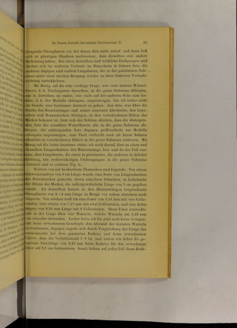 % H, 'm - eia T0Uög dr, !Sf eiij (1.:suri!i NS j’<r4 Vl>n Roi asei ***** DIeB%» ,\r.I,p.9ä, Röchle ich einfa 1 ö®r Suhjiam :rDichte. :JI‘^ u!ll!!“ d: re Scit/cbiM Ifligt und veN ;r gewissen Schiitriol i®p sensibler H ' wisse ’ idere mir vollkommen unkffl i Kudigangea der sensiblen illerdings nicht »am wördl Endigungeo ran Längsfasel sö Intern wesentlidi, sieh aufbaaen, so war ob'ger trtchtete, is» ei &!***** ,1er » verhallen, ^ sie der; .*0-1 ten , \w beugende Strangfasern vor, bei denen dies nicht zutraf, und dann ließ sieh an günstigen Objekten nachwoisen, dass dieselben eine andere Bedeutung haben. Die einen derselben sind wirkliche Endigungen und theilen sich im weiteren Verlaufe im Ilinterhorn in feinere Äste, die anderen dagegen sind einfach Längsfasern, die in der gelatinösen Sub- stanz unter einer zweiten Beugung wieder zu ihrer früheren Verlaufs- richtung zurückkehren. Mit Bezug auf die sehr wichtige Frage, wie viele hintere Wurzel- fasern, d. h. Theilungsäslo derselben, in die graue Substanz abbiegen, um in derselben zu enden, wie viele auf der anderen Seite zum Ge- hirn, d. h. der Medulla oblorigata, emporsteigen, bin ich leider nicht rim Stande, eine bestimmte Antwort zu geben. Aus dem, was über die iStärke des Hinterstranges und seiner einzelnen Abschnitte, den Goll- schen und ButuucH’schen Strängen, in den verschiedenen Hohen des 'Markes bekannt ist, lässt sich der Schluss ableiten, dass die absteigen- den^ Äste der sensiblen Wurzelfasern alle in die graue Substanz ab- biegen, die aufsleigenden Äste dagegen großlentheils zur Medulla le oblongata emporsteigen, zum Theil vielleicht auch als kurze Bahnen .ebenfalls in verschiedenen Höhen in die graue Substanz eintreten. Mit Bezug auf die letzte Annahme stütze ich mich darauf, dass an einen und denselben Längsschnitten der Ilintcrstränge hier und da der Fall vor- ksam, dass Längsfasern, die einen in proximaler, die anderen in distaler idichtung, mit rechtwinkeligen Umbeugungen in die graue Substanz dntrateu und so endeten (Fig. 6). Weitere von mir beobachtete Thatsachen sind folgende: Von einem 'Schweinsembryo von 9 cm Länge wurde eine Serie von Längsschnitten Dorsalmarkes gemacht, deren einzelnen Schnitten, in Anbetracht Dünne des Markes, die außergewöhnliche Länge von 1 cm gegeben wurde. An denselben kamen in den Hintersträngen longitudinale 'Strangfasern von 2—4 mm Länge in Menge vor neben einzelnen noch ängeren. Von solchen maß ich eine Faser von 5,41 mm mit vier Colla- eralen, eine zweite von 7,41 mm mit zwei Collateralen, und eine dritte ängste von 8,26 mm Länge mit 9 Collateralen. Diese Faser erstreckte ich in der Länge über vier Wurzeln, welche Wurzeln um 2,28 mm 'on einander abstanden. Leider halte ich bis jetzt noch keine Gelegen- beim erwachsenen Geschöpfe den Abstand der dorsalen Wurzeln u bestimmen, dagegen ergiebt sich durch Vergleichung der Länge des lückenmarks bei dem genannten Embryo und beim erwachsenen hiere, dass die Verhältniszahl 1 :8 ist, und hätten wir daher die ge- andene Faserlänge von 8,26 mm beim Embryo für das erwachsene hier auf 6,6 cm festzusetzen. Somit liefern auf jeden Fall diese Beob- ieh Wes m Her )ie» ,,ieit vtf' oder