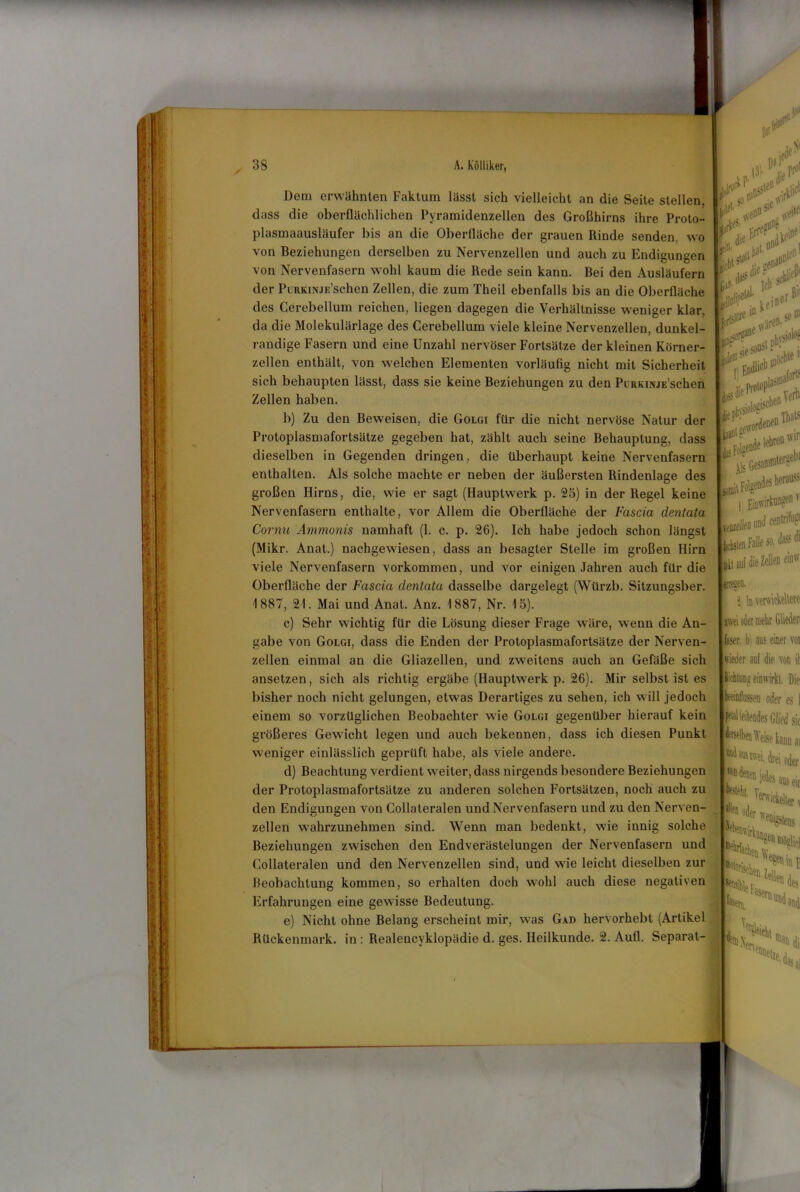 38 A. Kölliker, Dem erwähnten Faktum lässt sich vielleicht an die Seite stellen, dass die oberflächlichen Pyramidenzellen des Großhirns ihre Proto- plasmaausläufer bis an die Oberfläche der grauen Rinde senden, wo von Beziehungen derselben zu Nervenzellen und auch zu Endigungen von Nervenfasern wohl kaum die Rede sein kann. Bei den Ausläufern der PuRKiNJE’schen Zellen, die zum Theil ebenfalls bis an die Oberfläche des Cerebellum reichen, liegen dagegen die Verhältnisse weniger klar, da die Molekulärlage des Cerebellum viele kleine Nervenzellen, dunkel- randige Fasern und eine Unzahl nervöser Fortsätze der kleinen Körner- zellen enthält, von welchen Elementen vorläufig nicht mit Sicherheit sich behaupten lässt, dass sie keine Beziehungen zu den PcRKWJE’schen Zellen haben. b) Zu den Beweisen, die Golgi für die nicht nervöse Natur der Protoplasmafortsätze gegeben hat, zählt auch seine Behauptung, dass dieselben in Gegenden dringen, die überhaupt keine Nervenfasern enthalten. Als solche machte er neben der äußersten Rindenlage des großen Hirns, die, wie er sagt (Hauptwerk p. 23) in der Regel keine Nervenfasern enthalte, vor Allem die Oberfläche der Fciscia dentata Cornu Ammonis namhaft (1. c. p. 26). Ich habe jedoch schon längst (Mikr. Anat.) nachgewiesen, dass an besagter Stelle im großen Hirn viele Nervenfasern Vorkommen, und vor einigen Jahren auch für die Oberfläche der Fascici dentata dasselbe dargelegt (Würzb. Sitzungsber. 1887, 21. Mai und Anat. Anz. 1887, Nr. 15). c) Sehr wichtig für die Lösung dieser Frage wäre, wenn die An- gabe von Golgi, dass die Enden der Protoplasmafortsätze der Nerven- zellen einmal an die Gliazellen, und zweitens auch an Gefäße sich ansetzen, sich als richtig ergäbe (Hauptwerk p. 26). Mir selbst ist es bisher noch nicht gelungen, etwas Derartiges zu sehen, ich will jedoch einem so vorzüglichen Beobachter wie Golgi gegenüber hierauf kein größeres Gewicht legen und auch bekennen, dass ich diesen Punkt weniger einlässlich geprüft habe, als viele andere. d) Beachtung verdient weiter, dass nirgends besondere Beziehungen der Protoplasmafortsätze zu anderen solchen Fortsätzen, noch auch zu den Endigungen von Collateralen und Nervenfasern und zu den Nerven- zellen wahrzunehmen sind. Wenn man bedenkt, wie innig solche Beziehungen zwischen den Endverästelungen der Nervenfasern und Collateralen und den Nervenzellen sind, und wie leicht dieselben zur Beobachtung kommen, so erhalten doch wohl auch diese negativen Erfahrungen eine gewisse Bedeutung. e) Nicht ohne Belang erscheint mir, was Gad hervorhebt (Artikel Rückenmark, in : Realencvklopädie d. ges. Heilkunde. 2. Aufl. Separat- ,✓ fm jo11“' , rtf!1” klV'V #'■ 5lC t jß u”|, bat.1,01 .Pfi jcbC ,,dieP r., jcb Jlöl'felaL keincrl Einwirkungen v vfoieilffl und centrifu^ pcbiten Falle so. dassdi ii auf die Zellen einw #re» £i ln verÄtae zwei oder mehr Glieder! faser. b. ans einer vor wieder auf die von il Bichtung einwirkt. Die beeinflussen oder es 1 N) leitendes Glied sic Mben Weise kann ai «len oder ■ebrfaeben \\e neu Wnf 1 en'eönetze.