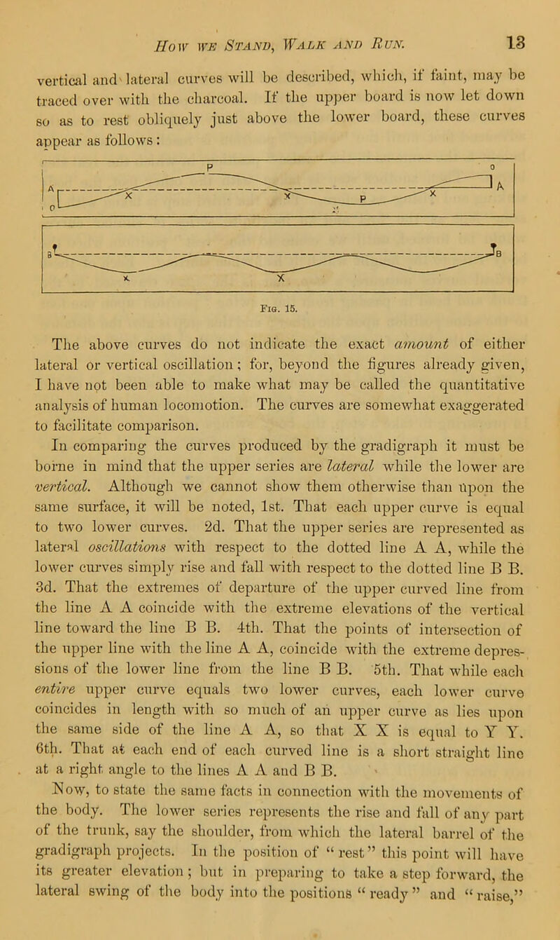 vertical and' lateral curves will be described, which, it taint, may be traced over with the charcoal. If the upper board is now let down so as to rest obliquely just above the lower board, these curves appear as follows: X. X Fig. 15. The above curves do not indicate the exact amount of either lateral or vertical oscillation; for, beyond the figures already given, I have not been able to make what may be called the cj^uantitative analysis of human locomotion. The curves are somewhat exaggerated to facilitate comparison. In comparing the curves produced by the gradigraph it must be borne in mind that the upper series are lateral while the lower are vertical. Although we cannot show them otherwise than Upon the same surface, it will be noted, 1st. That each upper curve is equal to two lower curves. 2d. That the upper series are represented as lateral oscillations with respect to the dotted line A A, while the lower curves simply rise and fall with respect to the dotted line B B. 3d. That the extremes of departure of the upper curved line from the line A A coincide with the extreme elevations of the vertical line toward the line B B. 4th. That the points of intersection of the upper line with the line A A, coincide with the extreme depres- sions of the loAver line from the line B B. 5tb. That while each entire upper curve equals two lower curves, each lower curve coincides in length with so much of an upper curve as lies upon the same side of the line A A, so that X X is equal to Y Y. 6th. That at each end of each curved line is a short straight line at a right angle to the lines A A and B B. Now, to state the same facts in connection with the movements of the body. The lower series represents the rise and fall of any part of the trunk, say the shoulder, from which the lateral barrel of the gradigraph projects. In the position of “ rest” this point will have its greater elevation ; but in pi-eparing to take a step forward, the lateral swing of the body into the positions “ ready ” and “ raise,”